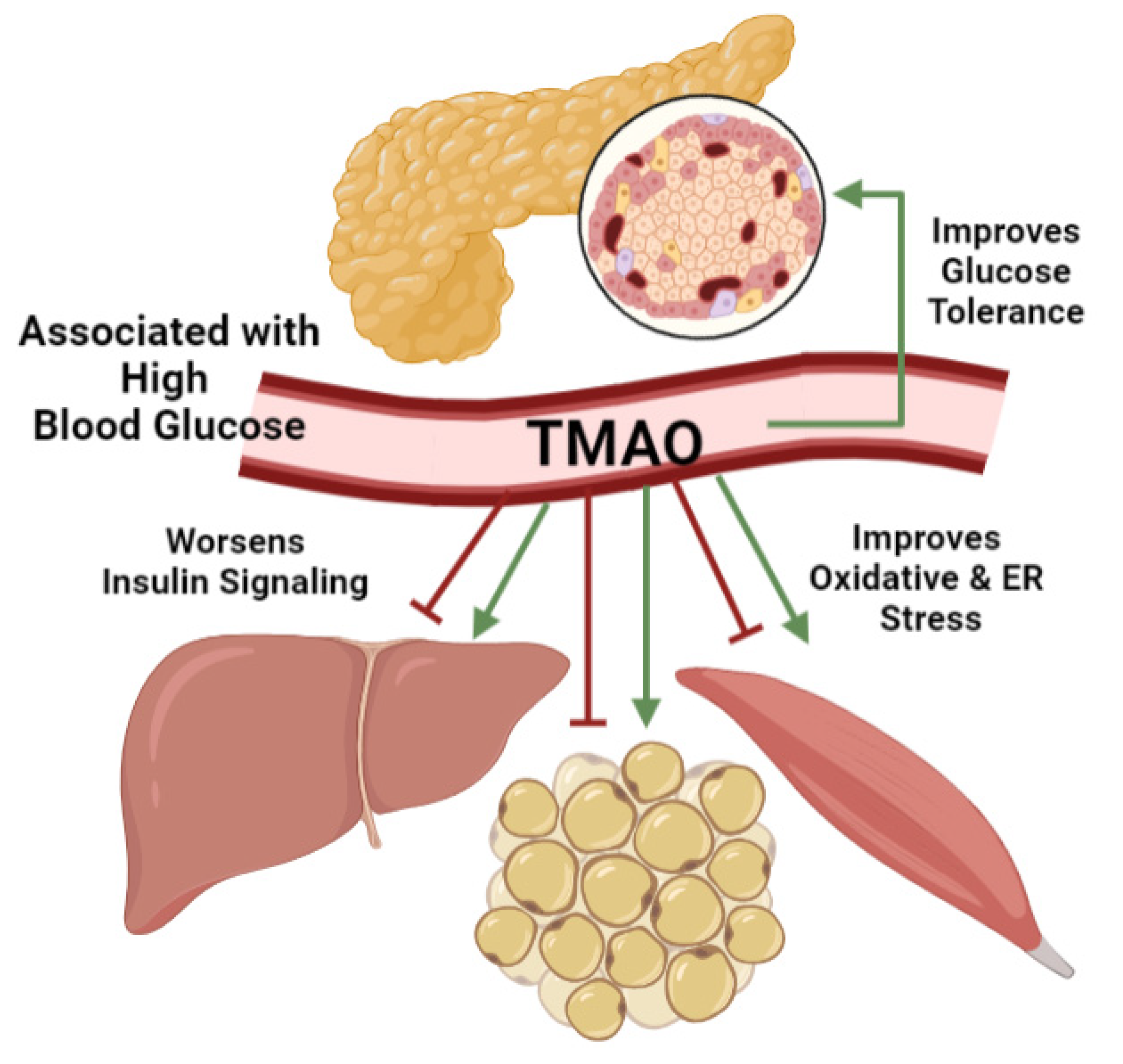 Nutrients 13 02873 g003 550