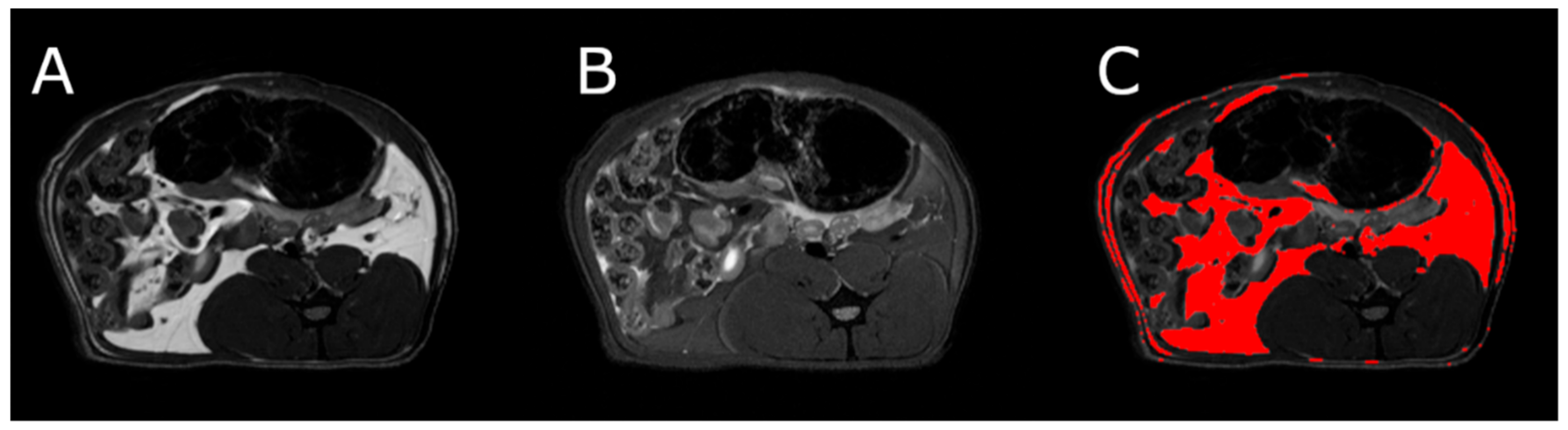 Nutrients 13 02876 g005