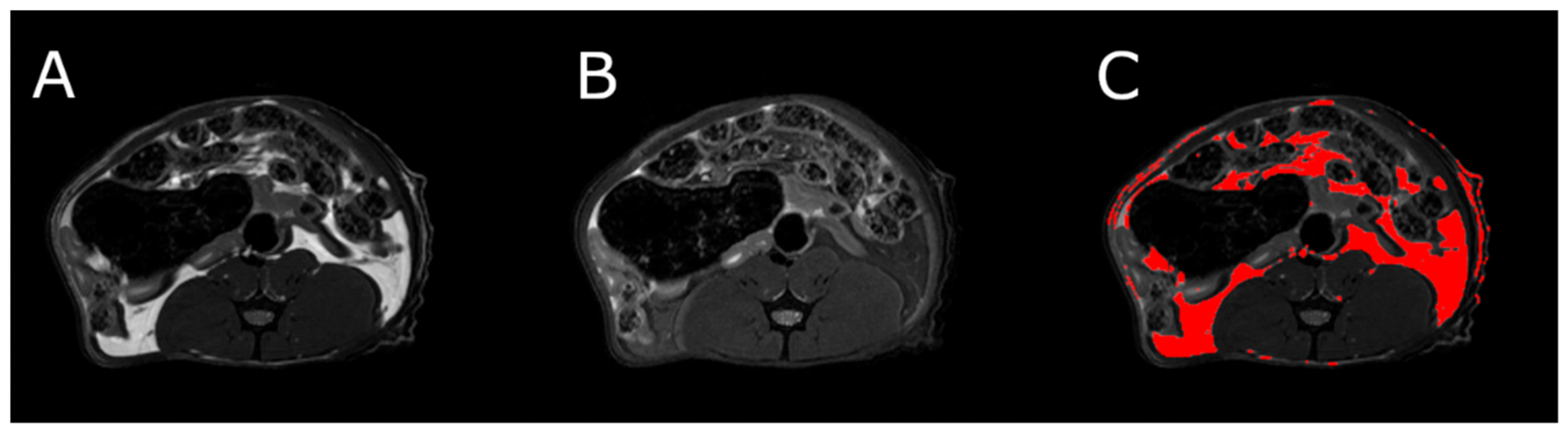 Nutrients 13 02876 g006