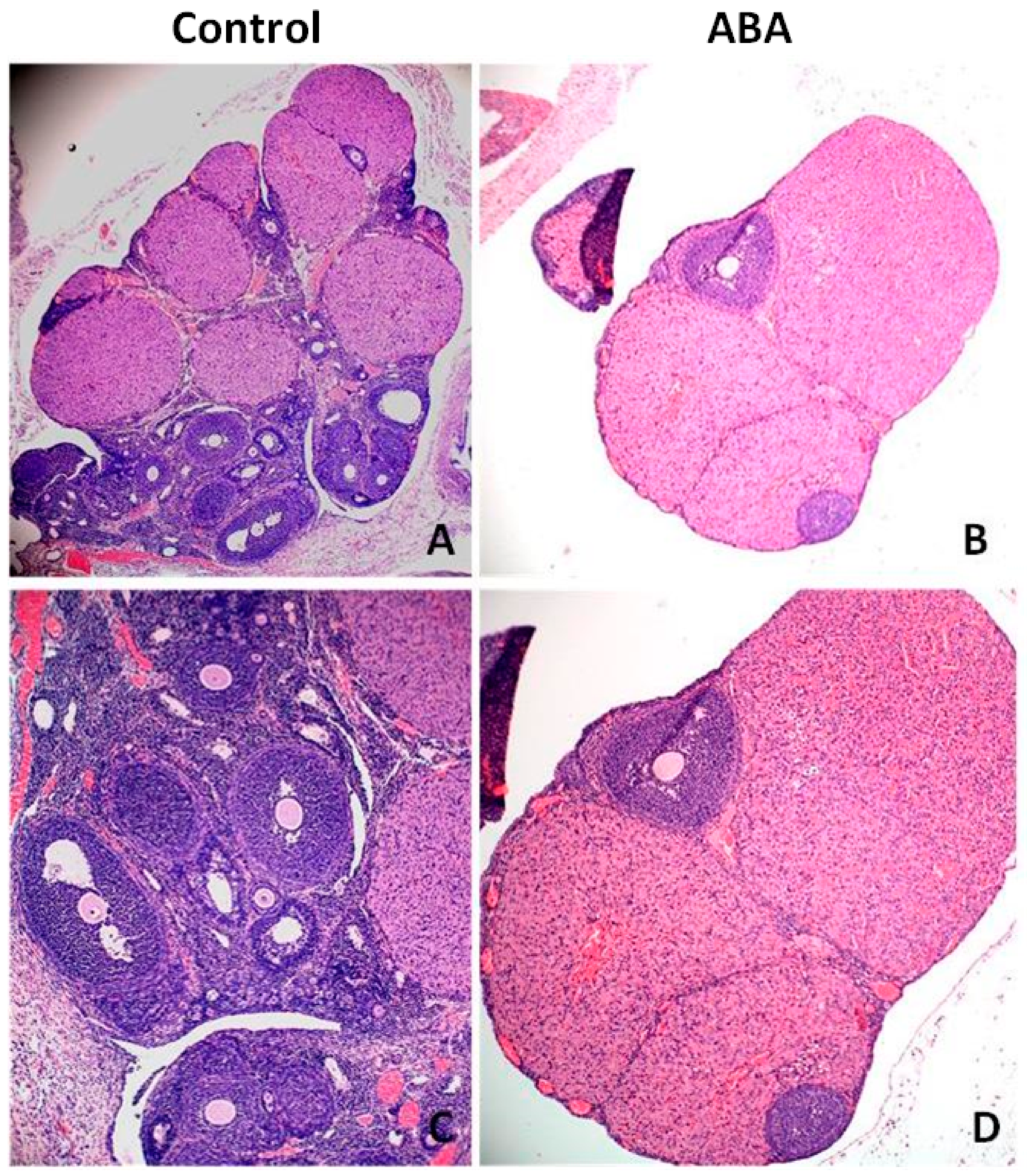 Nutrients 13 02876 g009