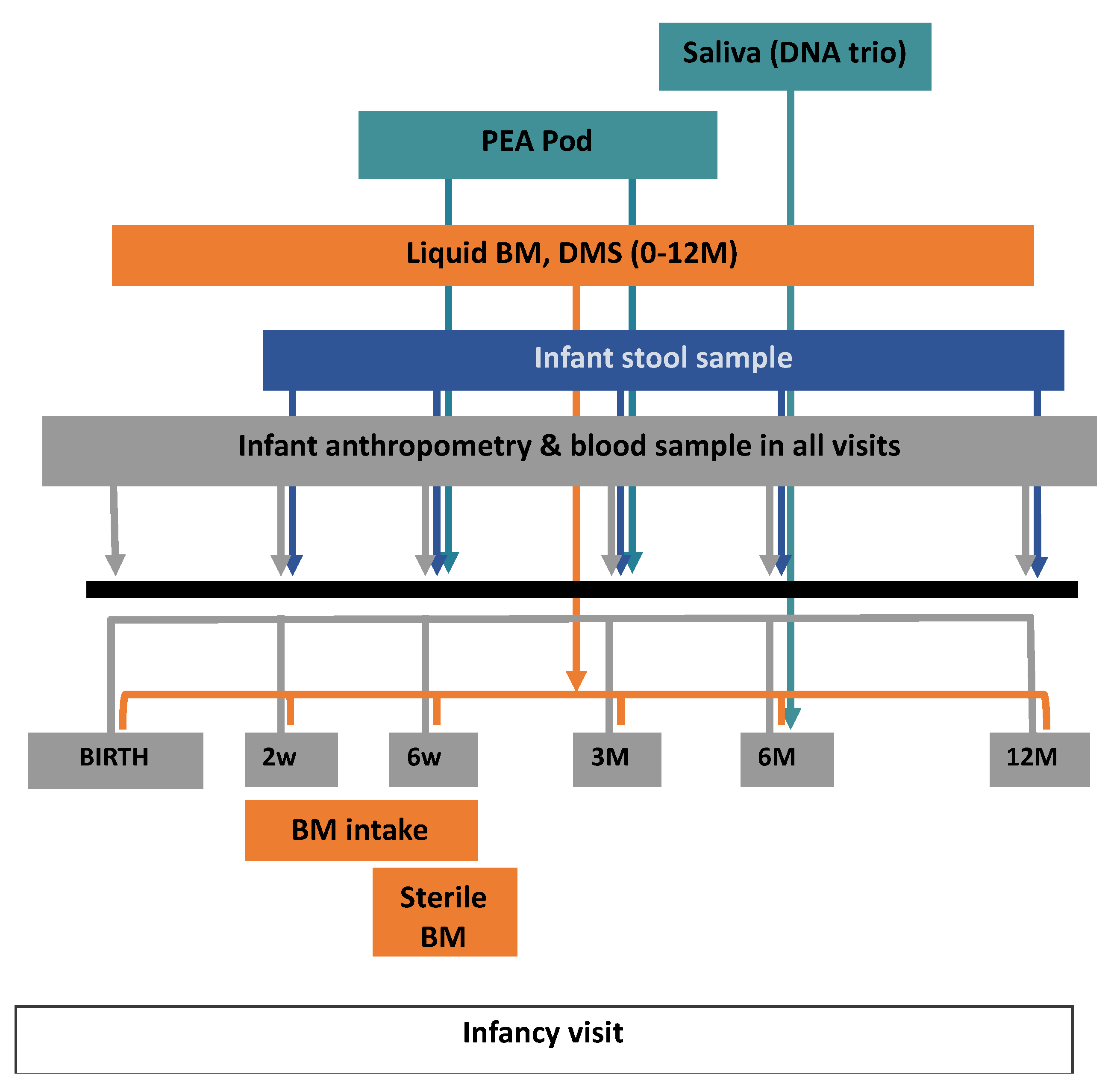 Nutrients 13 02879 g001