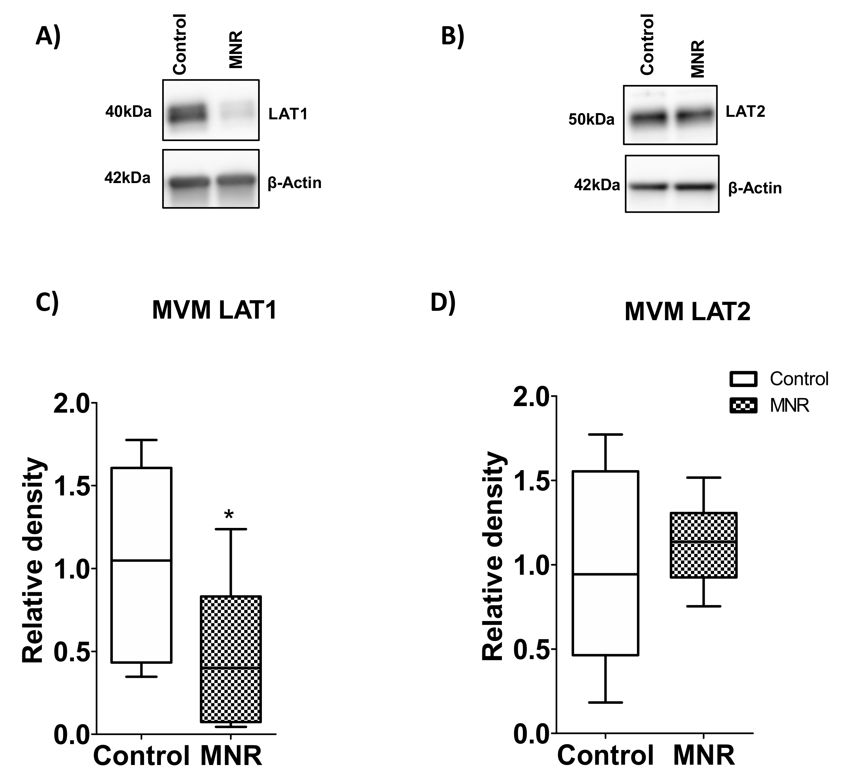 Nutrients 13 02892 g008 Nutrients 13 02892 g008