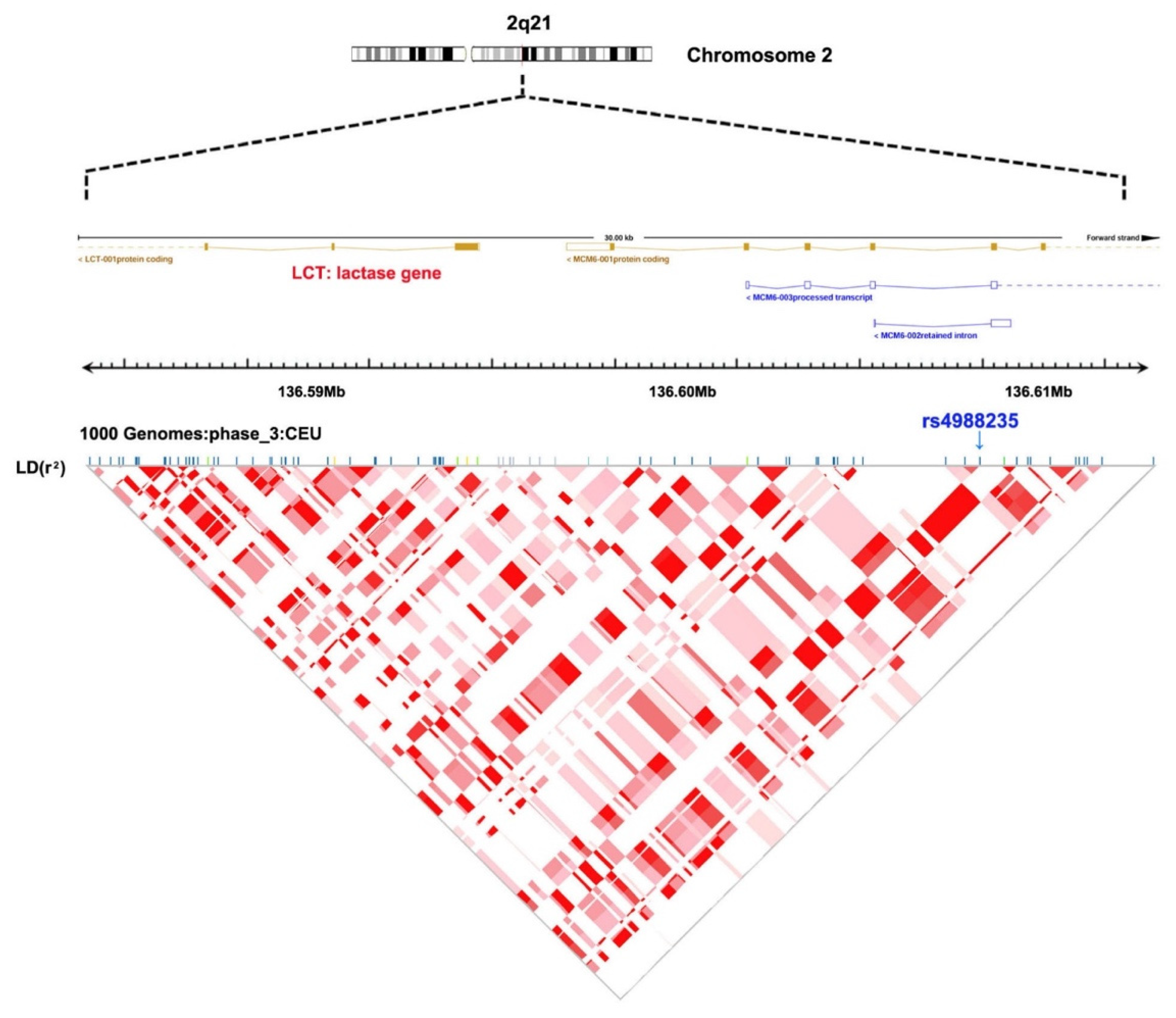 Nutrients 13 02893 g002