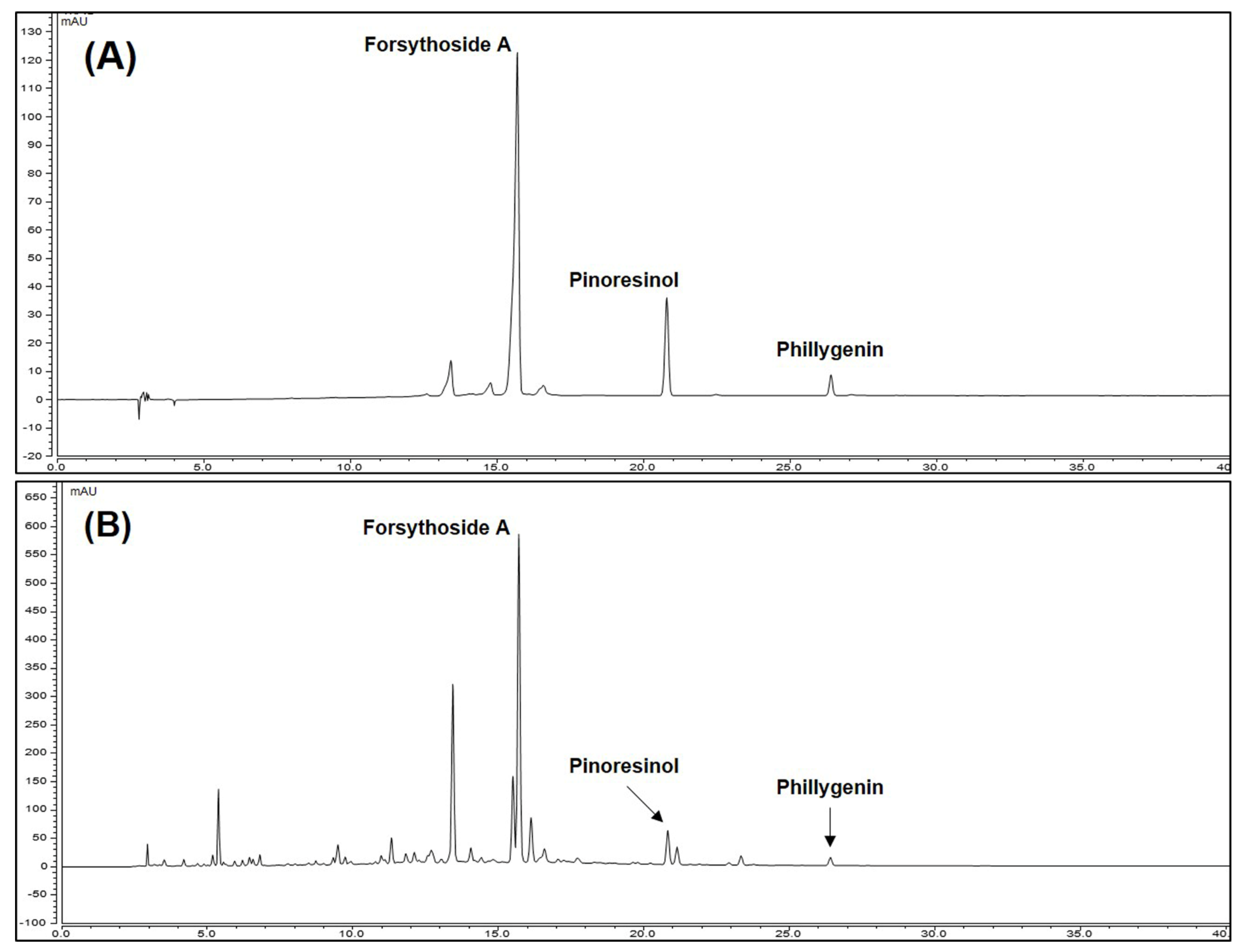 Nutrients 13 02901 g001