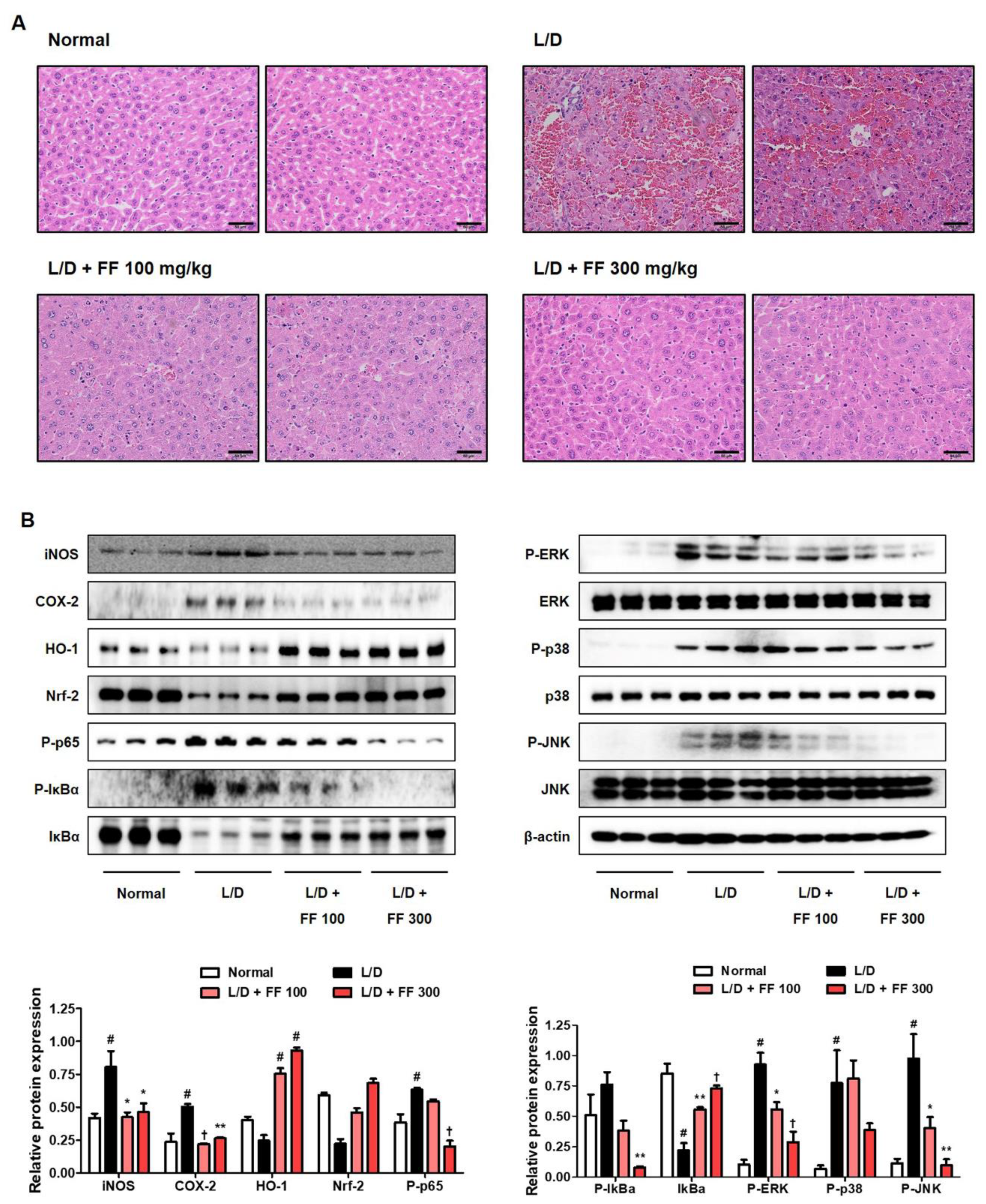 Nutrients 13 02901 g004