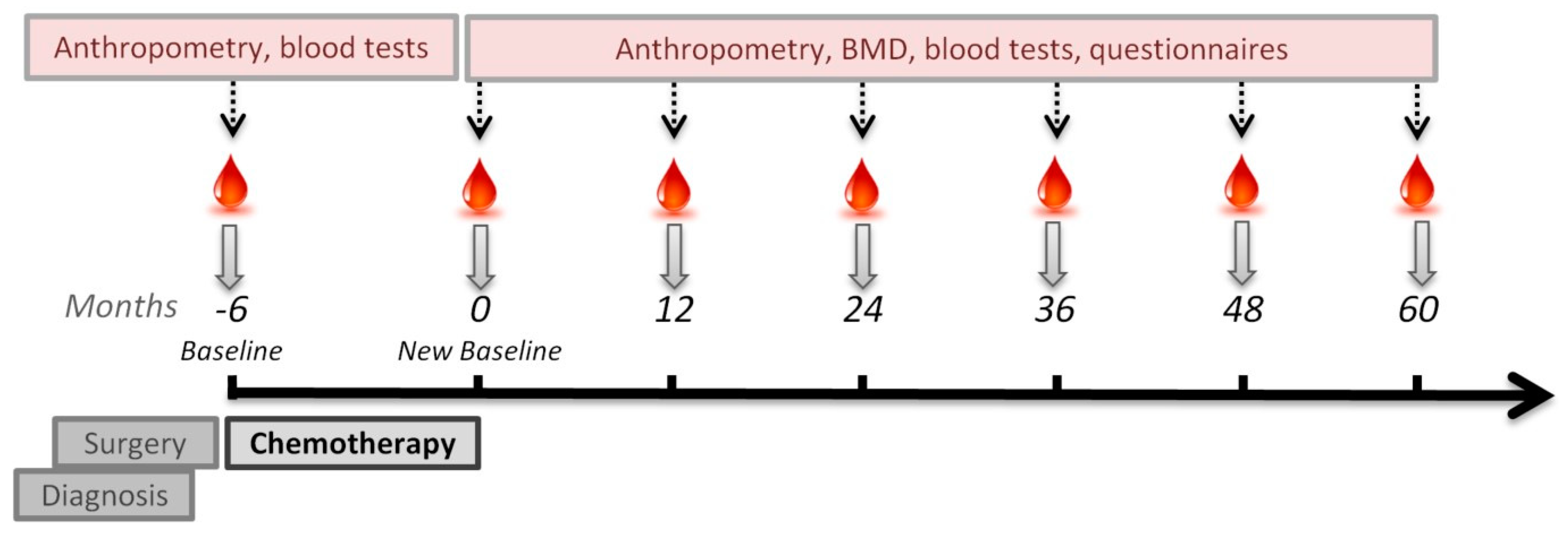 Nutrients 13 02902 g001