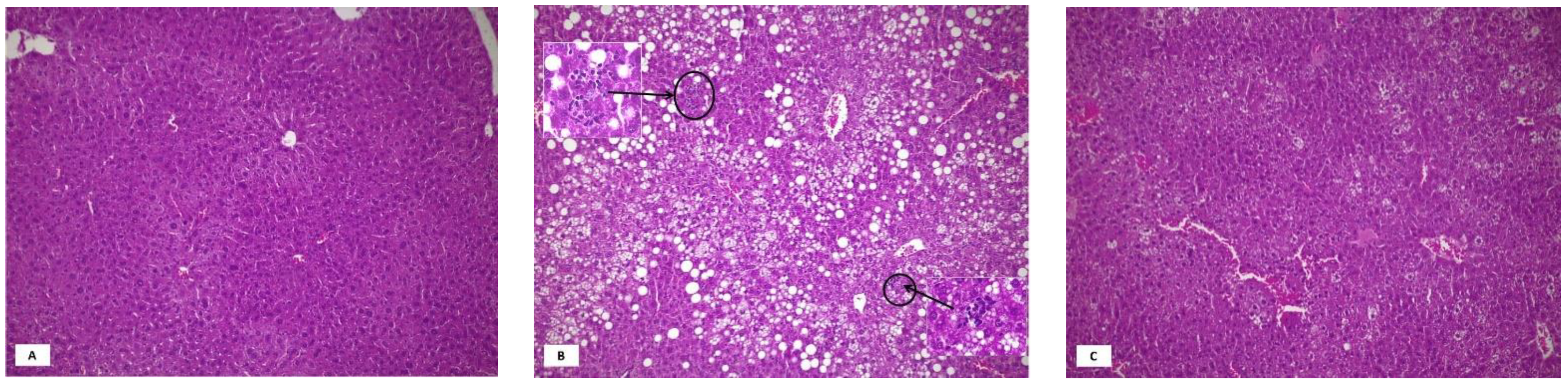 Nutrients 13 02952 g001