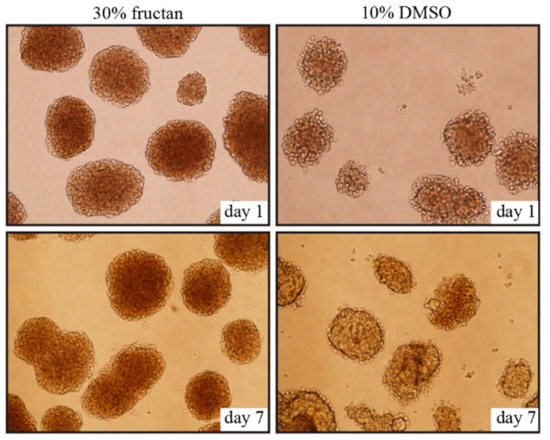 Nutrients 13 02959 g002 550