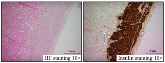 Nutrients 13 02959 g004 550