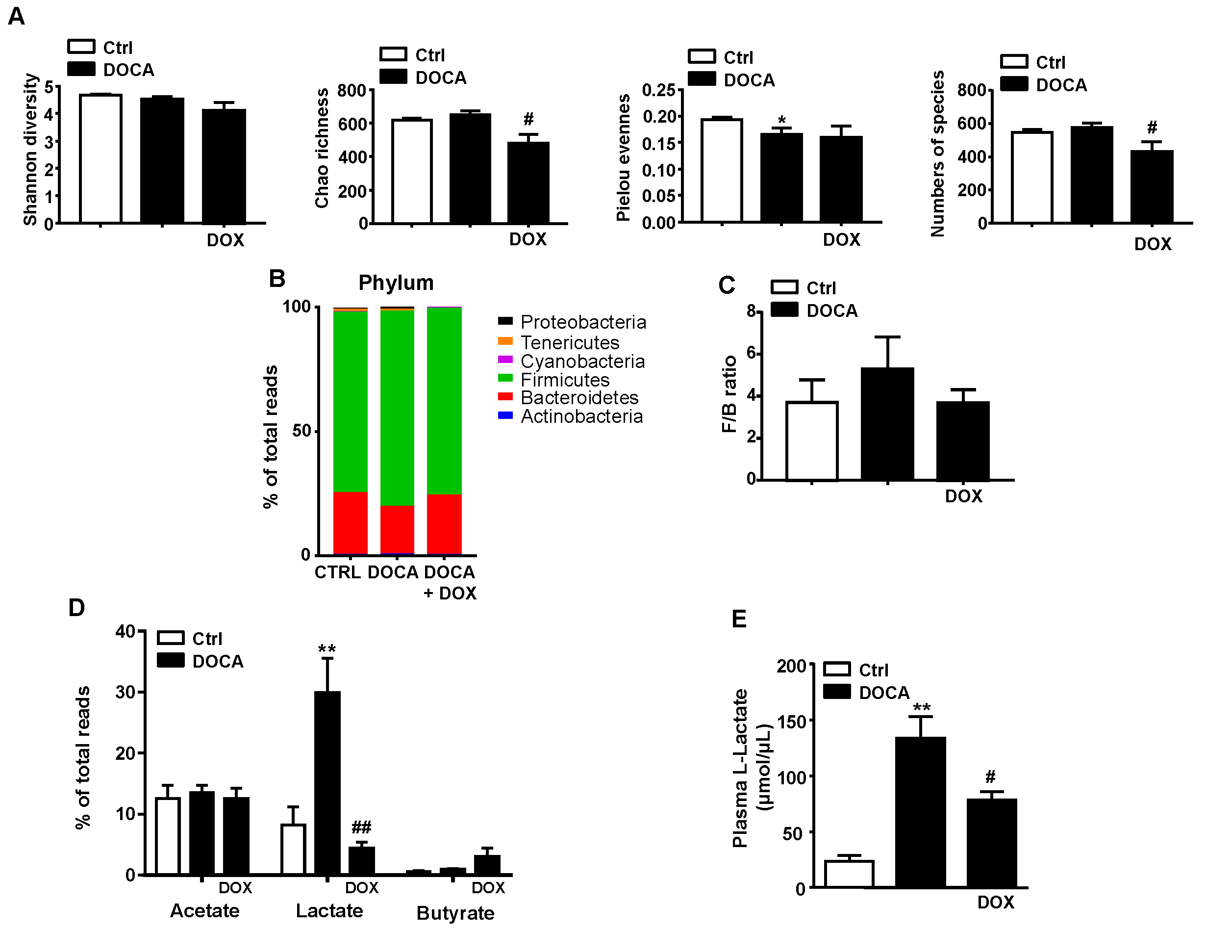 Nutrients 13 02971 g002