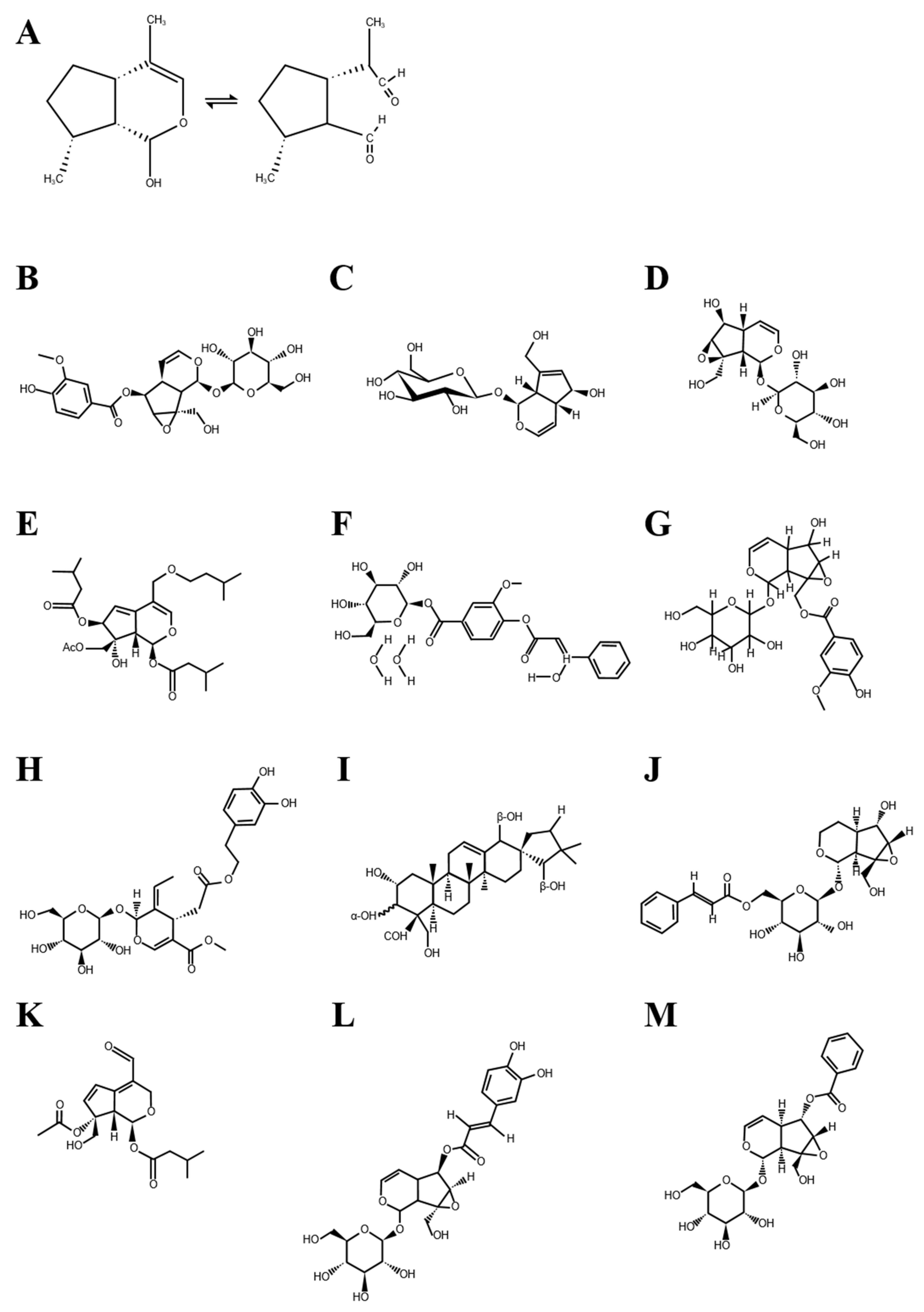 Nutrients 13 02974 g001 Nutrients 13 02974 g001