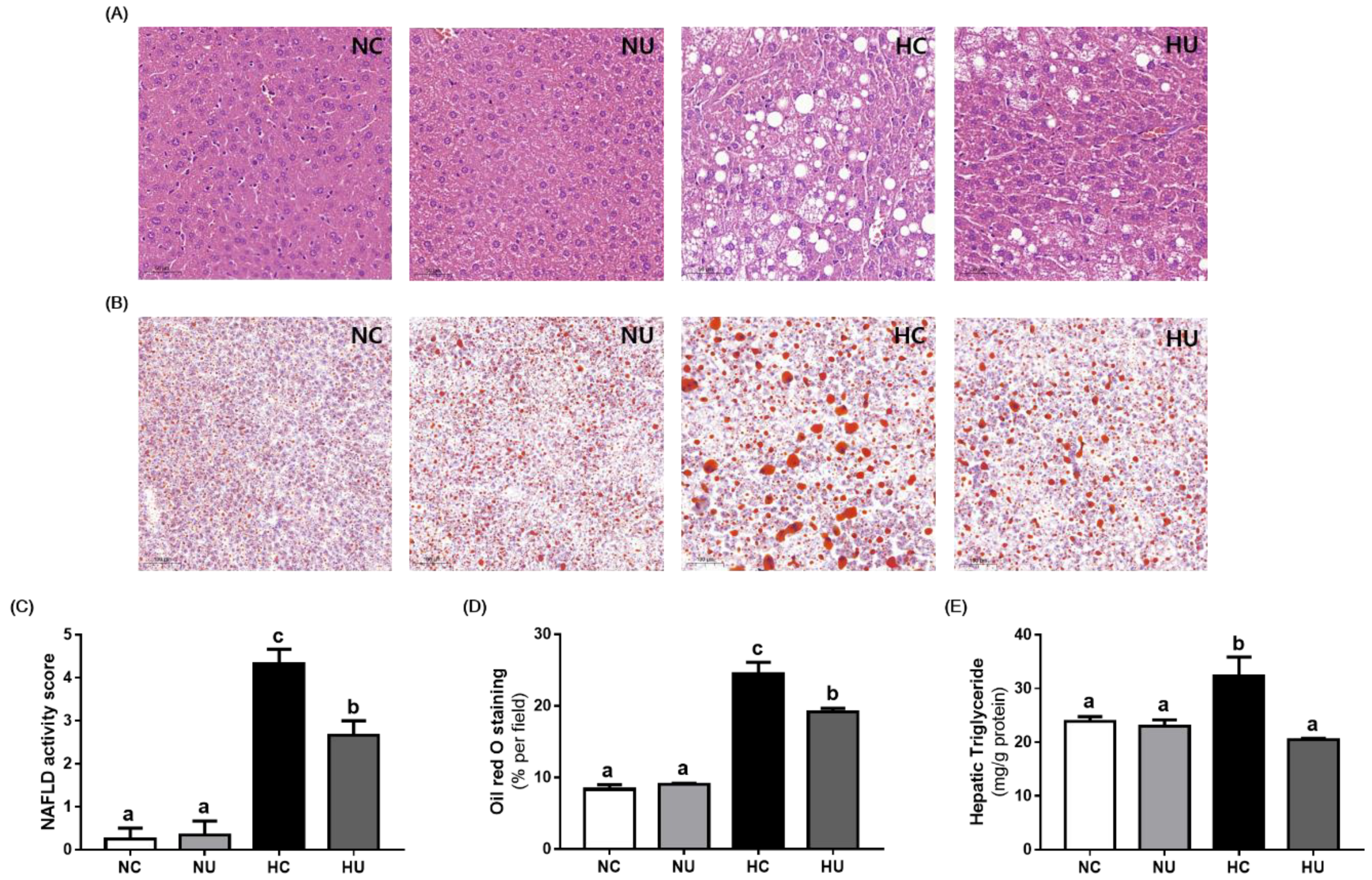 Nutrients 13 02989 g004 550
