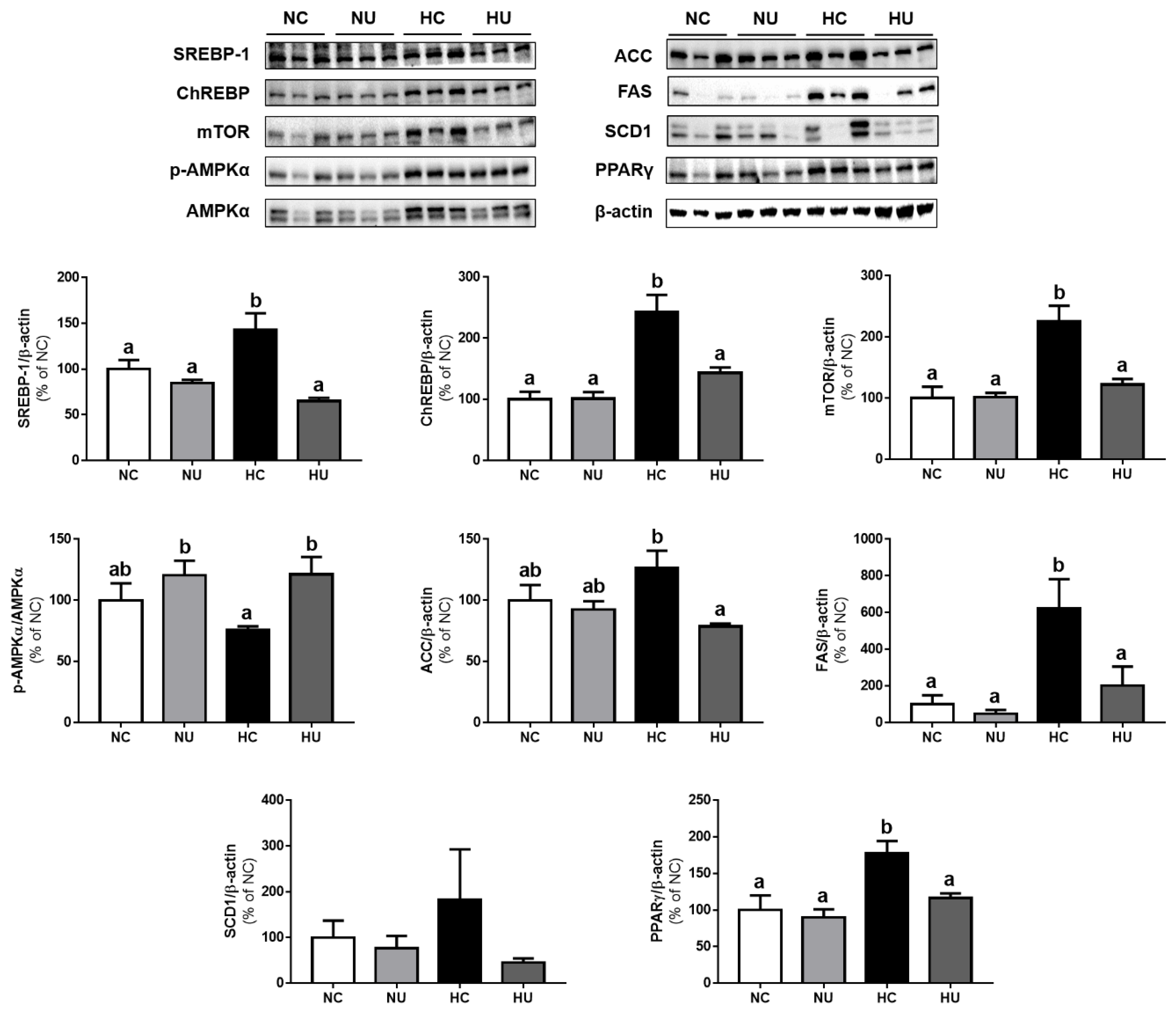 Nutrients 13 02989 g005 550