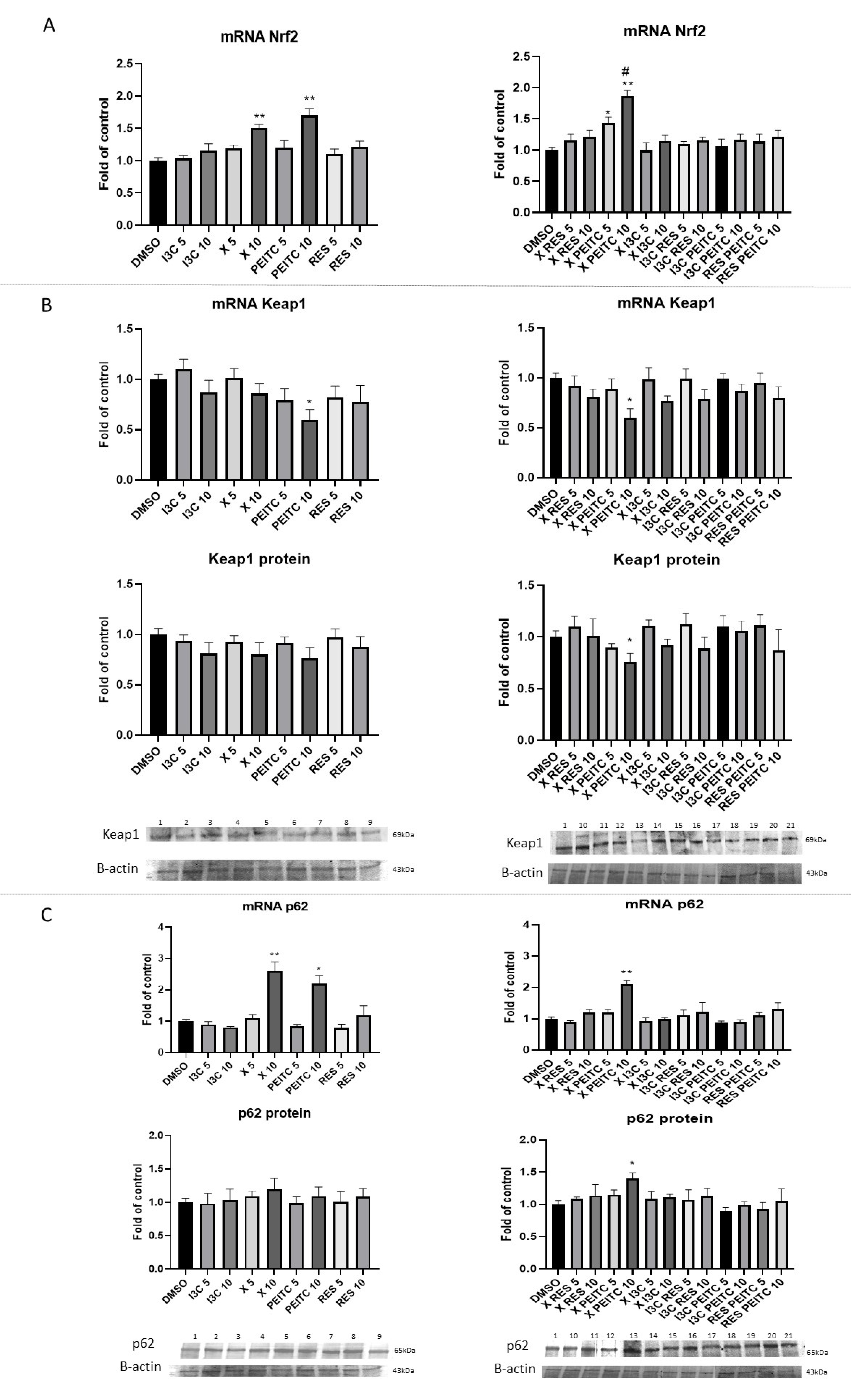 Nutrients 13 03000 g007 550