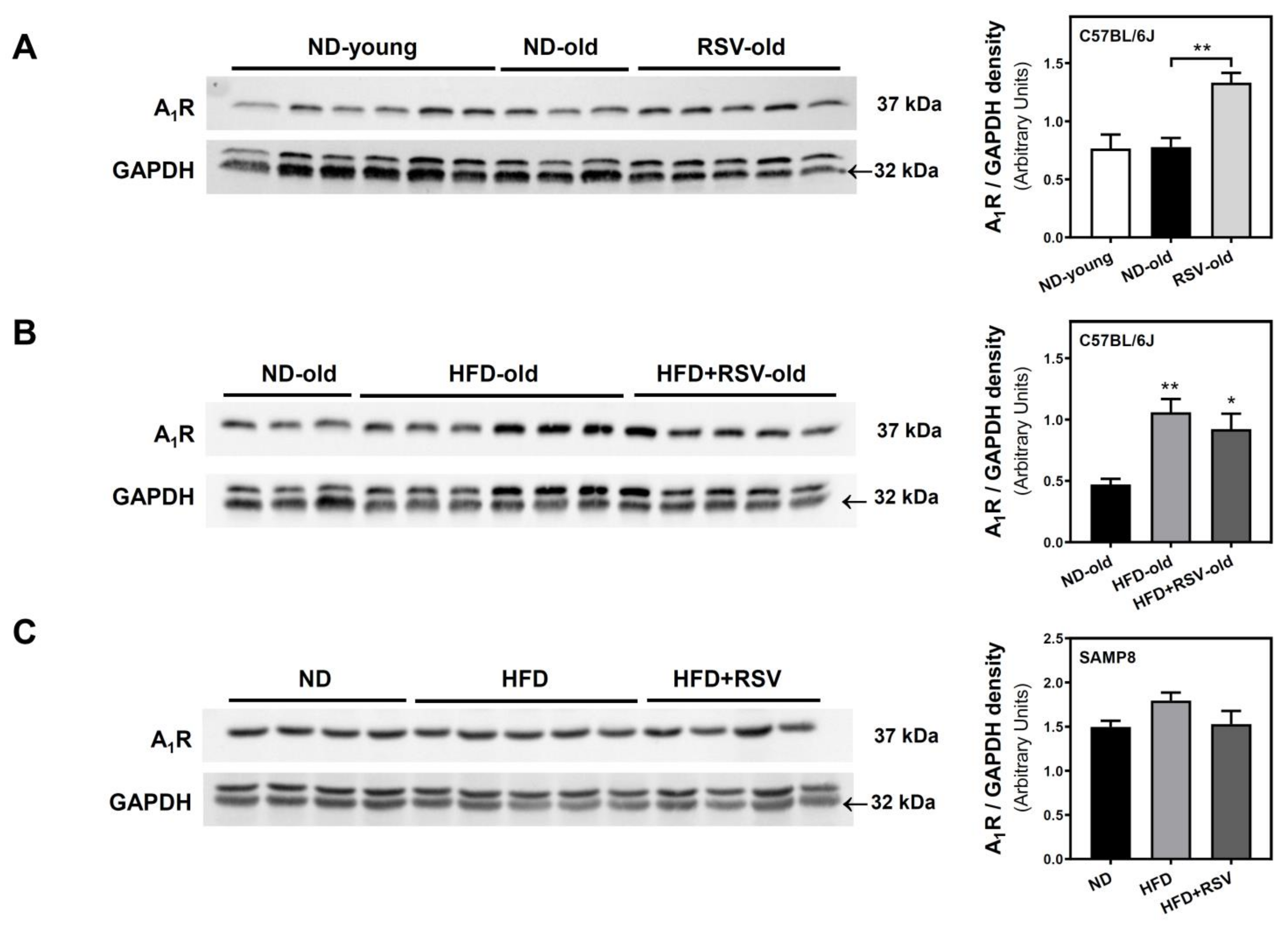 Nutrients 13 03040 g002