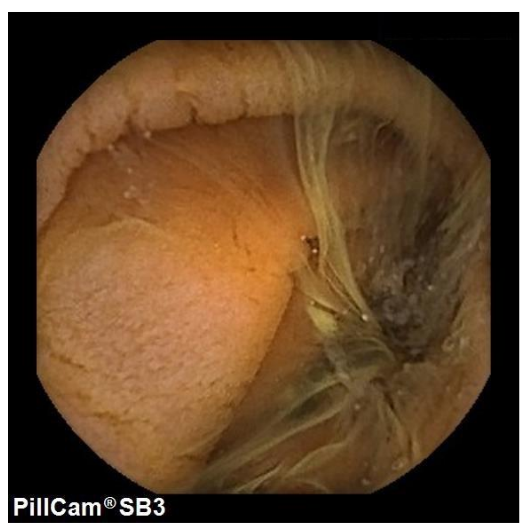 Nutrients 13 03057 g003 550