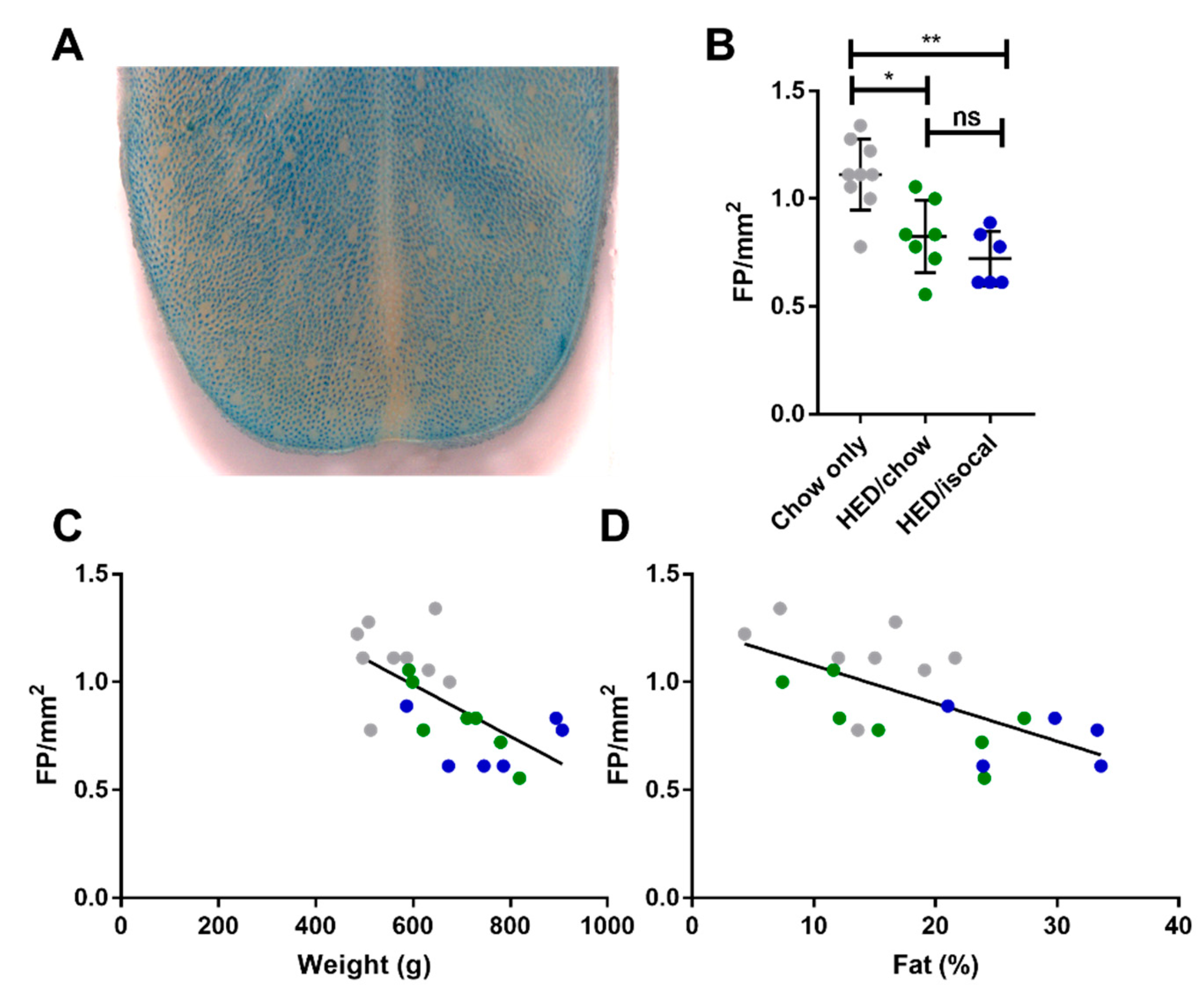 Nutrients 13 03062 g002 Nutrients 13 03062 g002