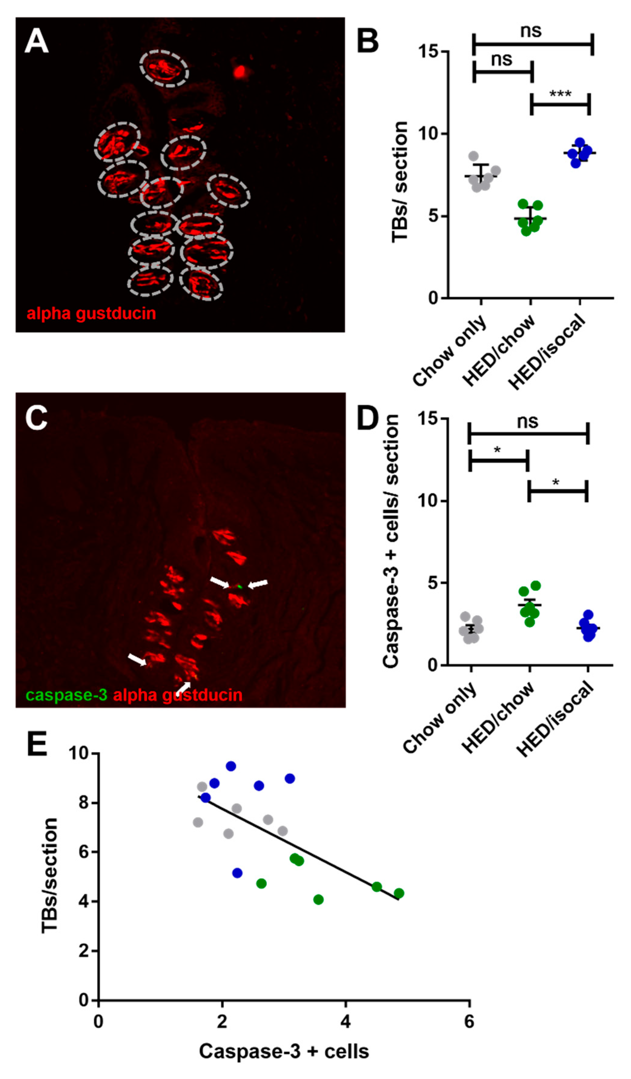 Nutrients 13 03062 g003 Nutrients 13 03062 g003