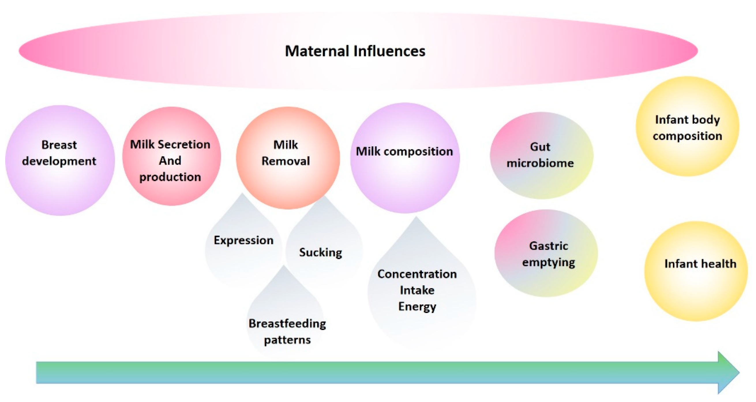 Nutrients, Free Full-Text