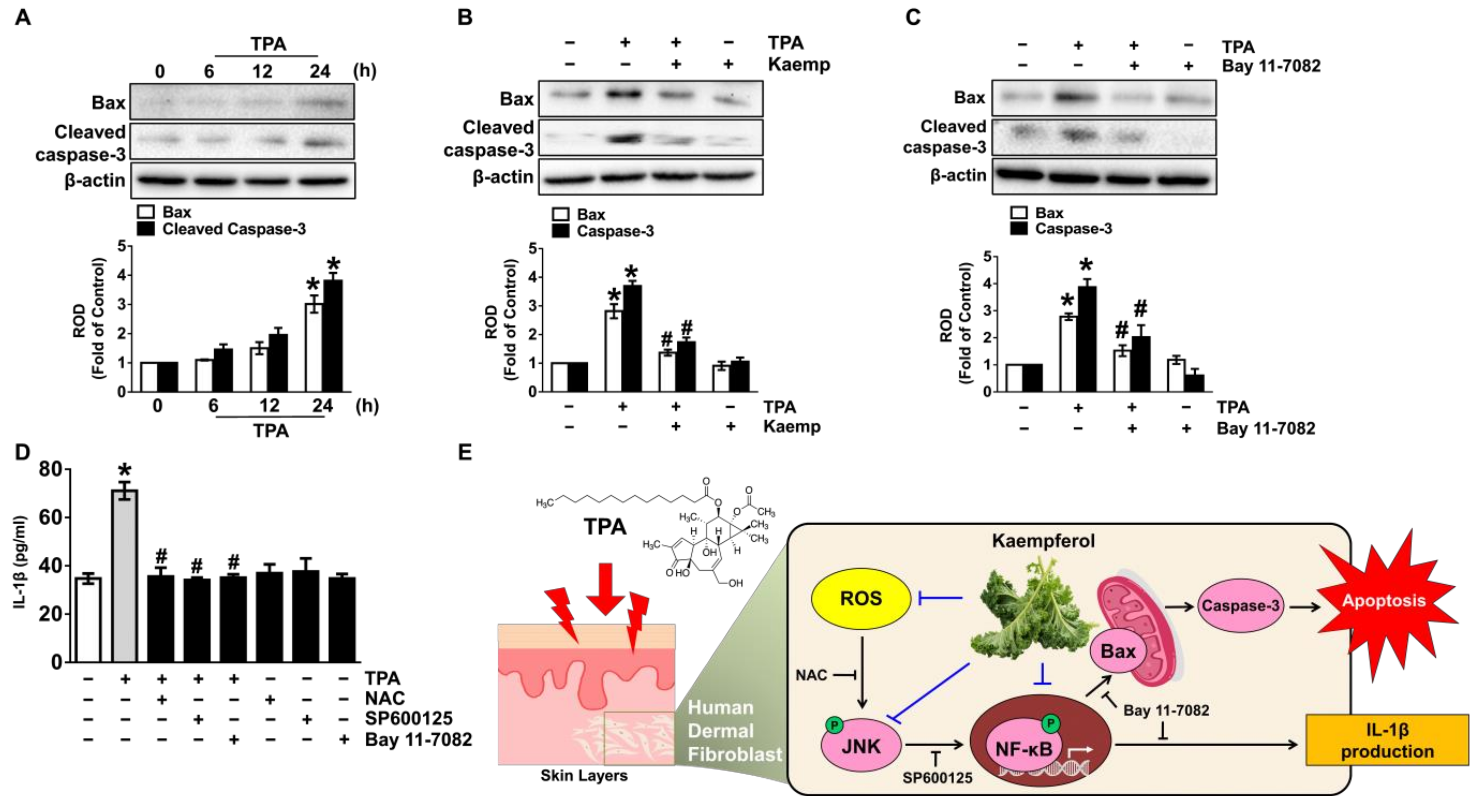 Nutrients 13 03079 g005