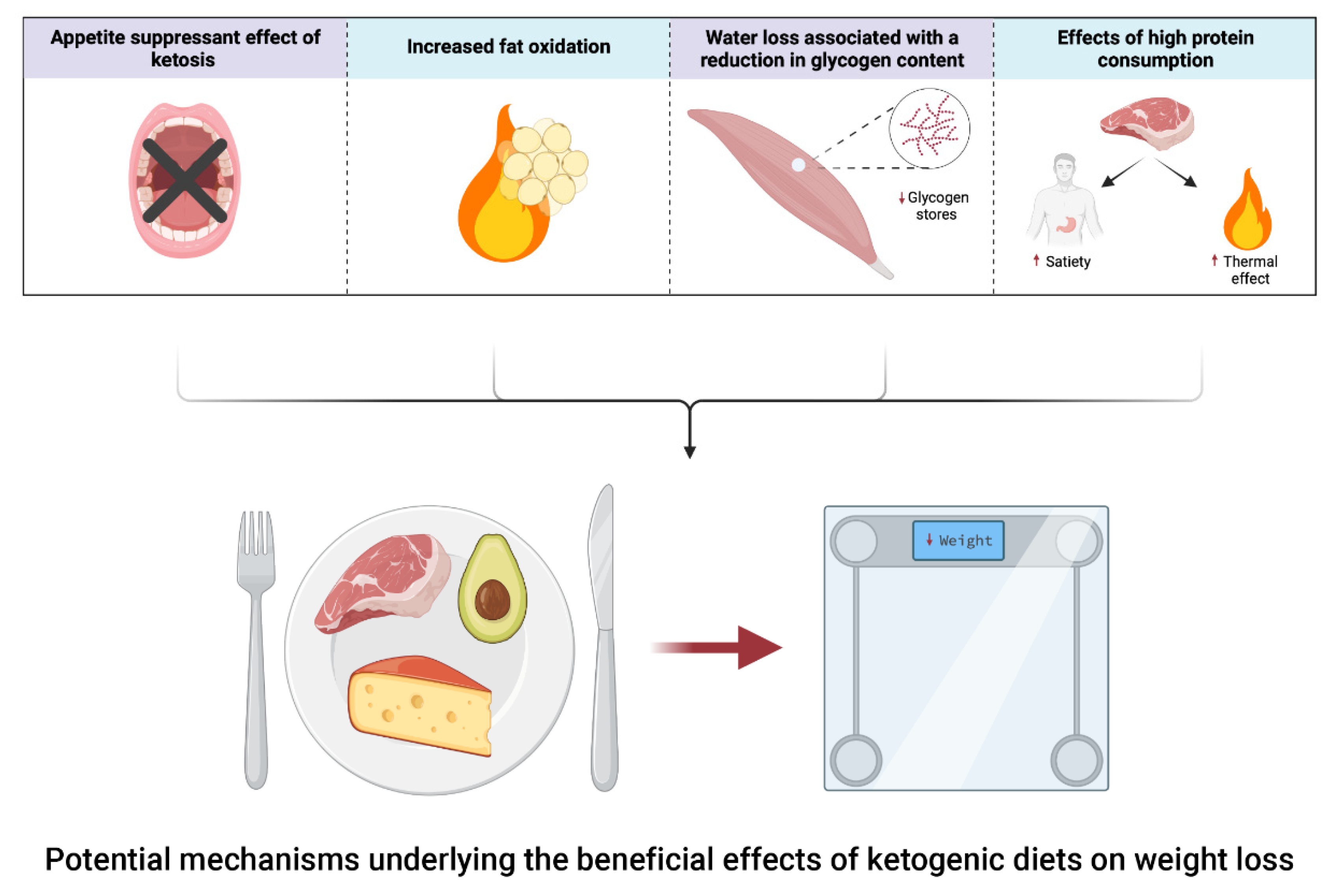 Keto Diet Explained: Foods, Benefits & Risks – Forbes Health