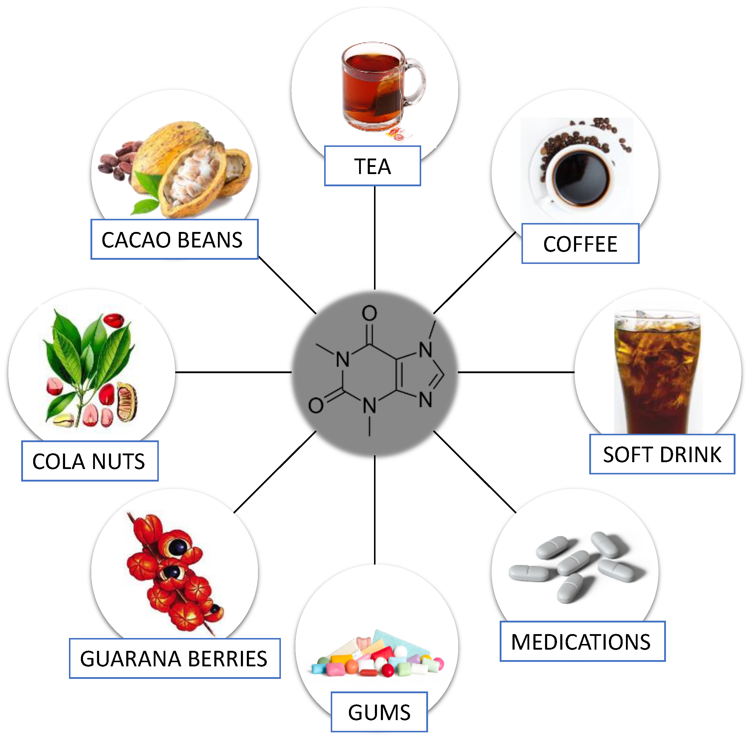 oscuro Gran cantidad Desviación Nutrients | Free Full-Text | Caffeine as a Factor Influencing the  Functioning of the Human Body—Friend or Foe?