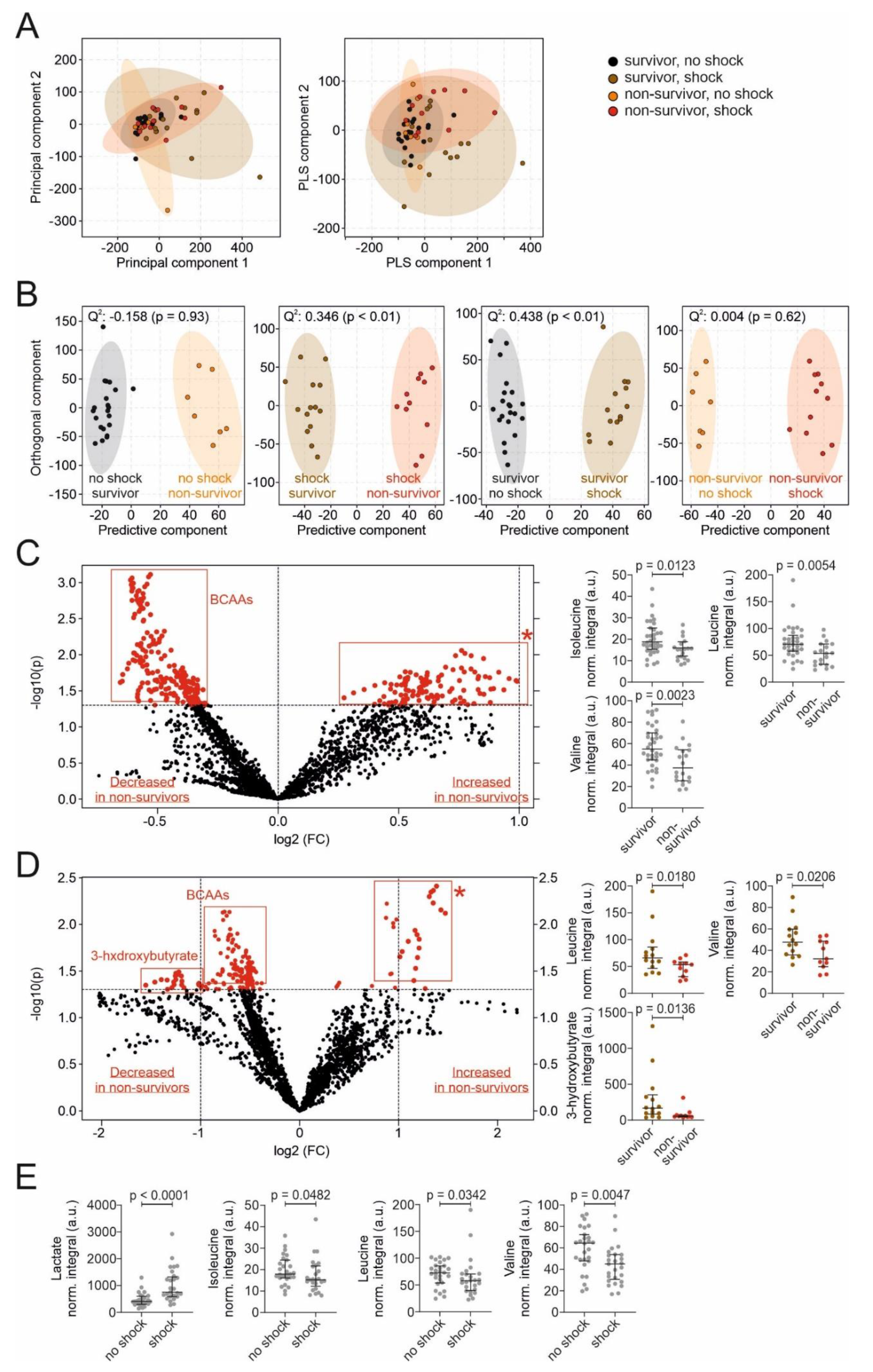 Nutrients 13 03106 g002 Nutrients 13 03106 g002