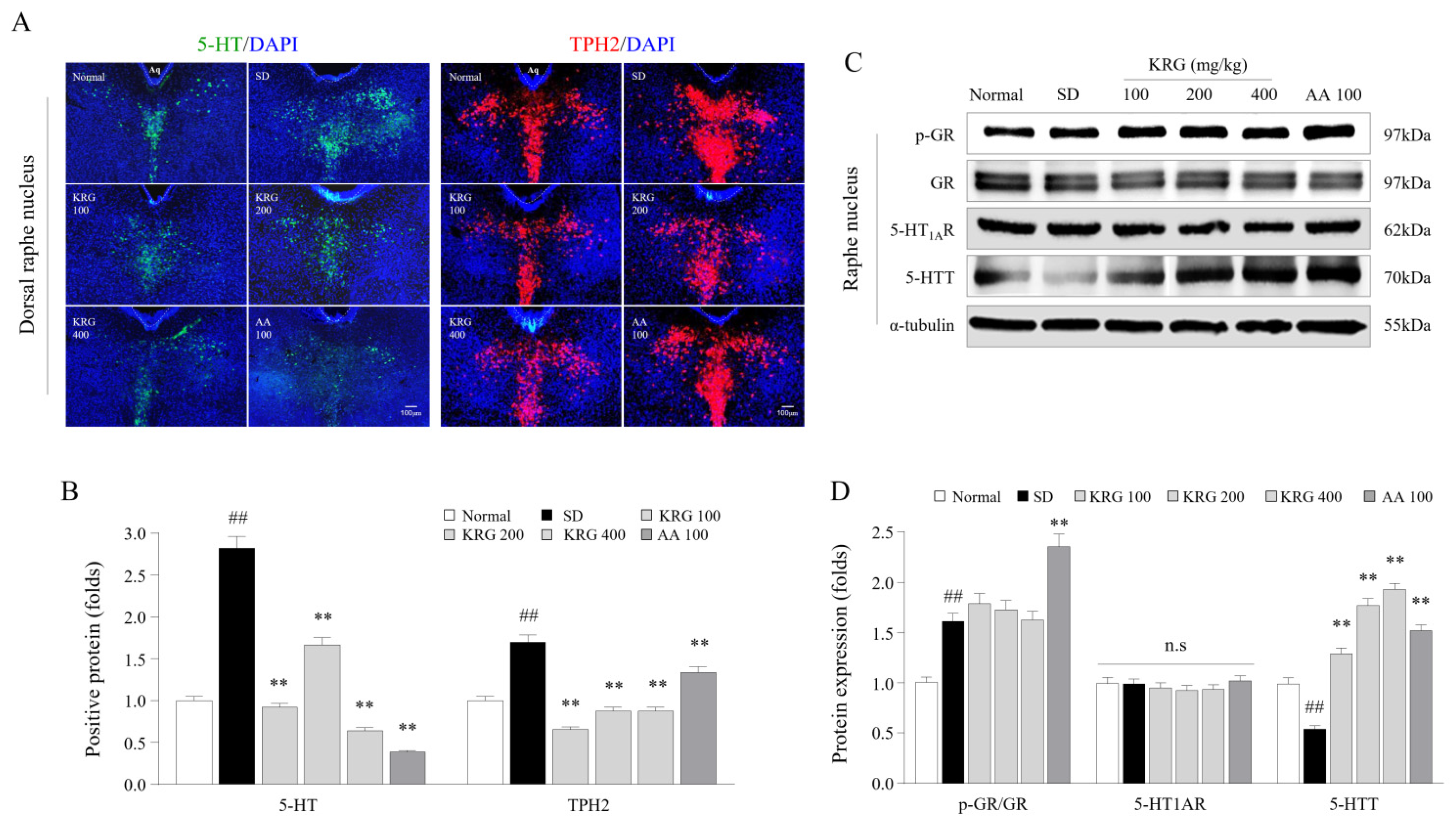 Nutrients 13 03121 g004