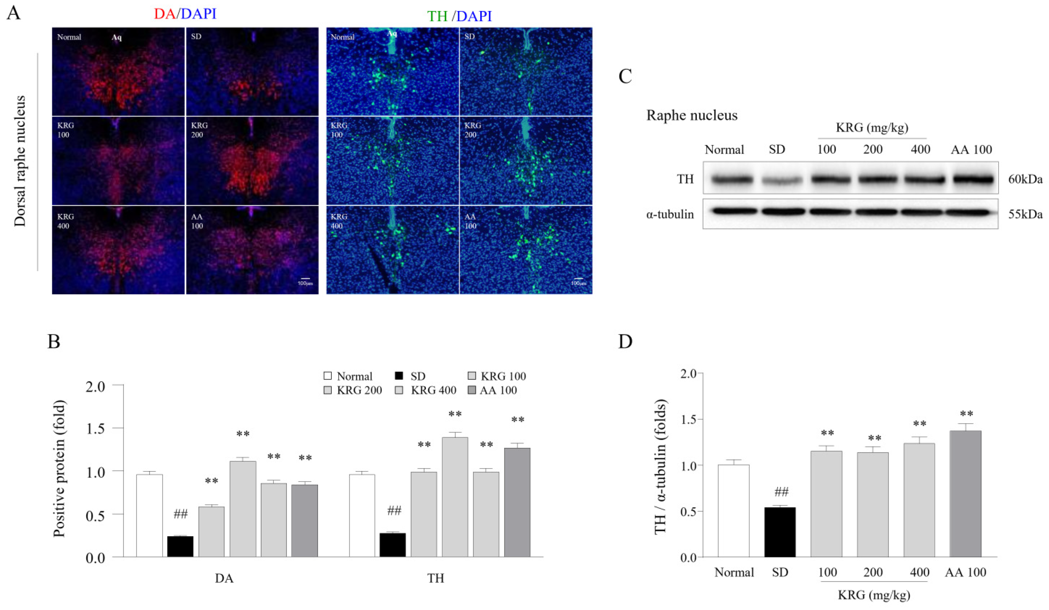 Nutrients 13 03121 g005