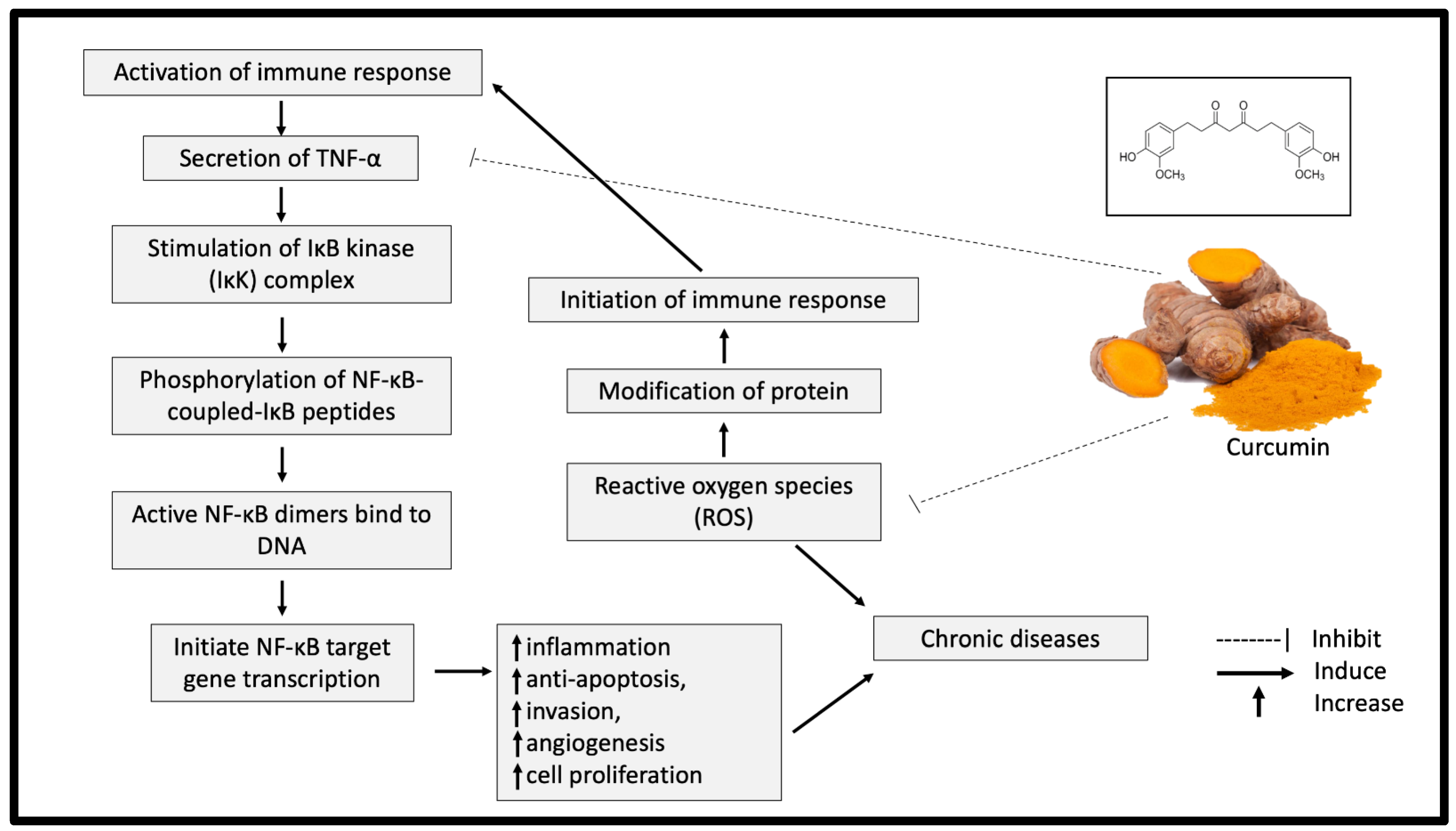 Nutrients 13 03126 g002