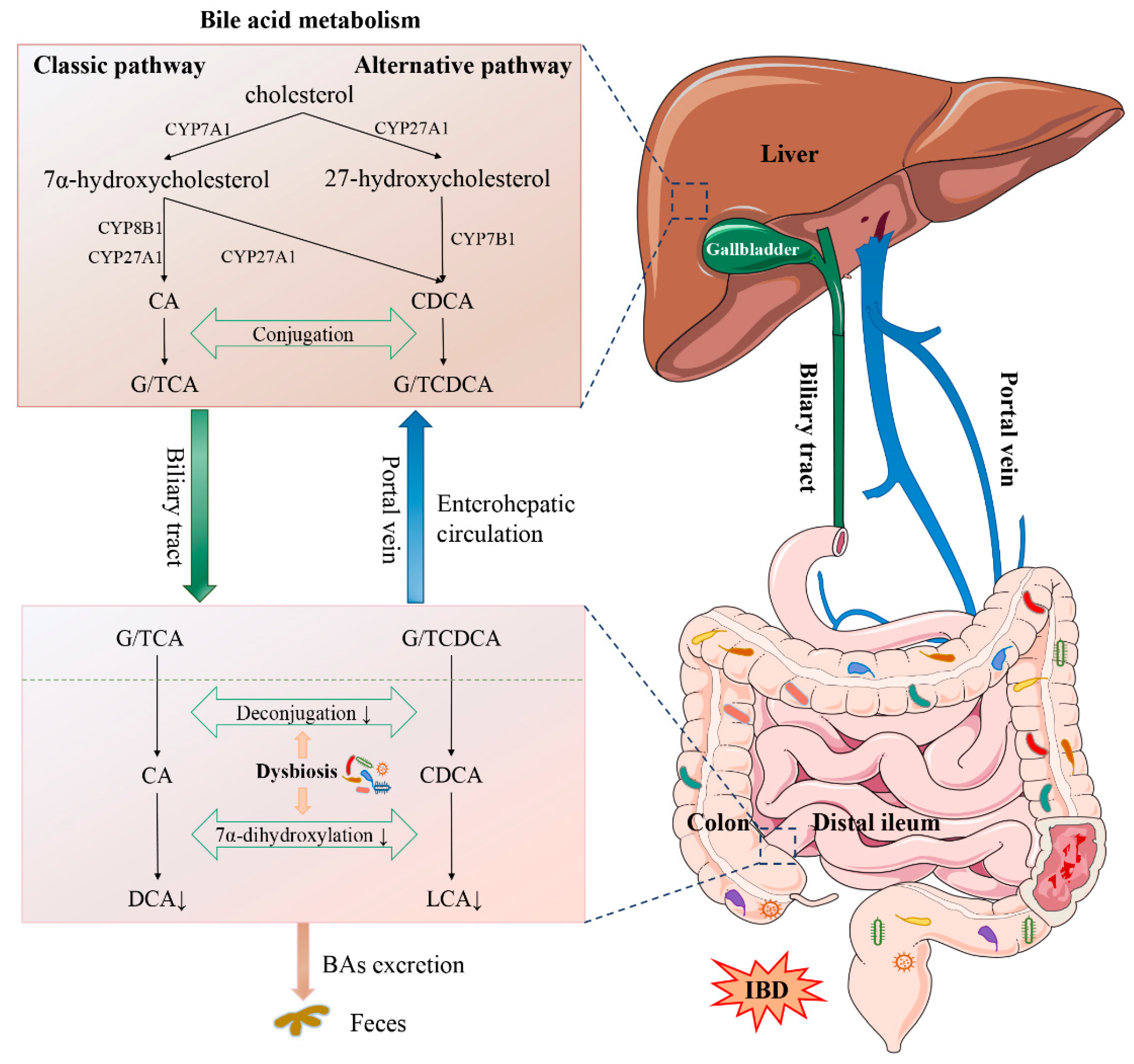 Nutrients 13 03143 g001 550