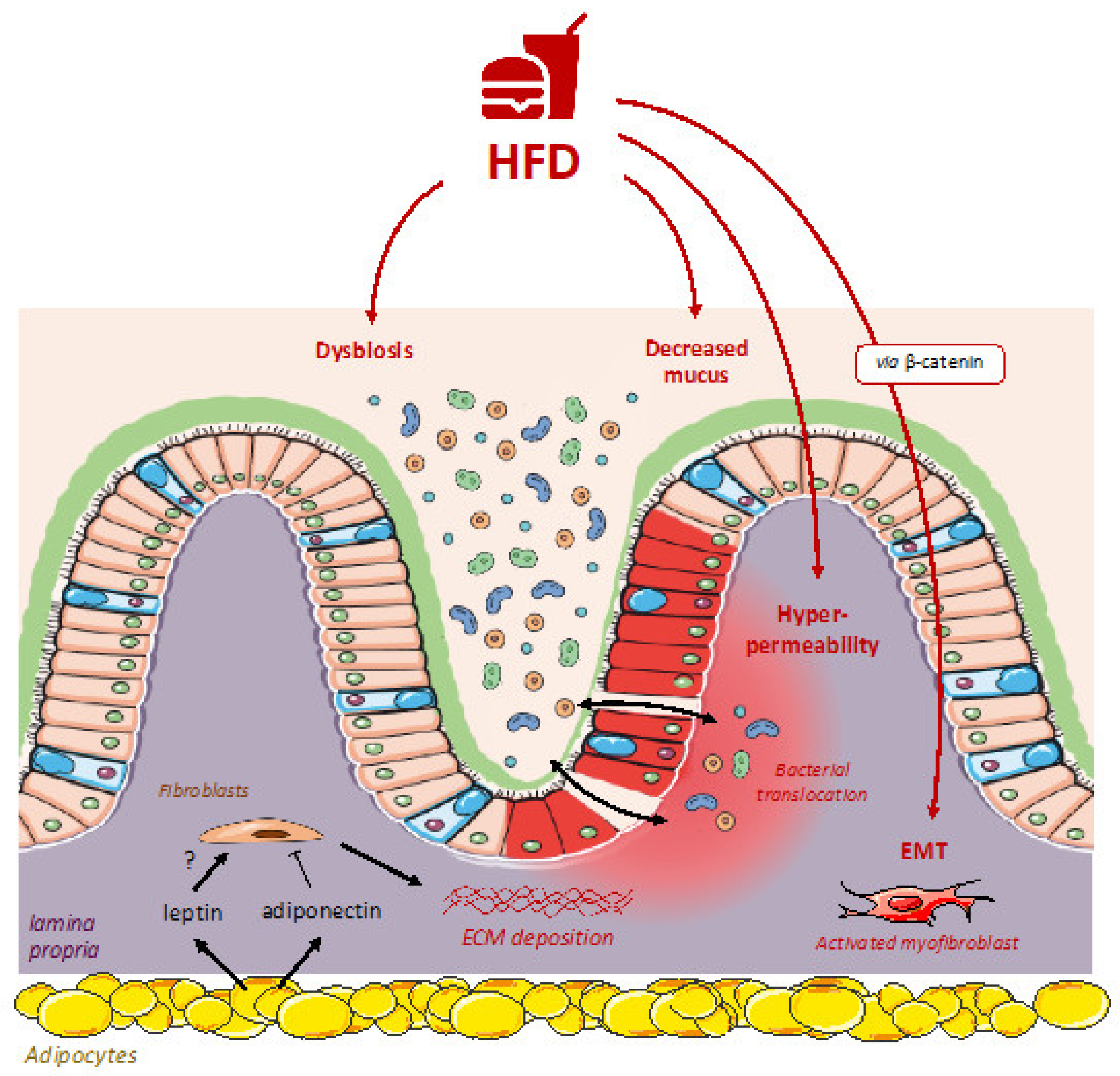 Nutrients 13 03148 g001