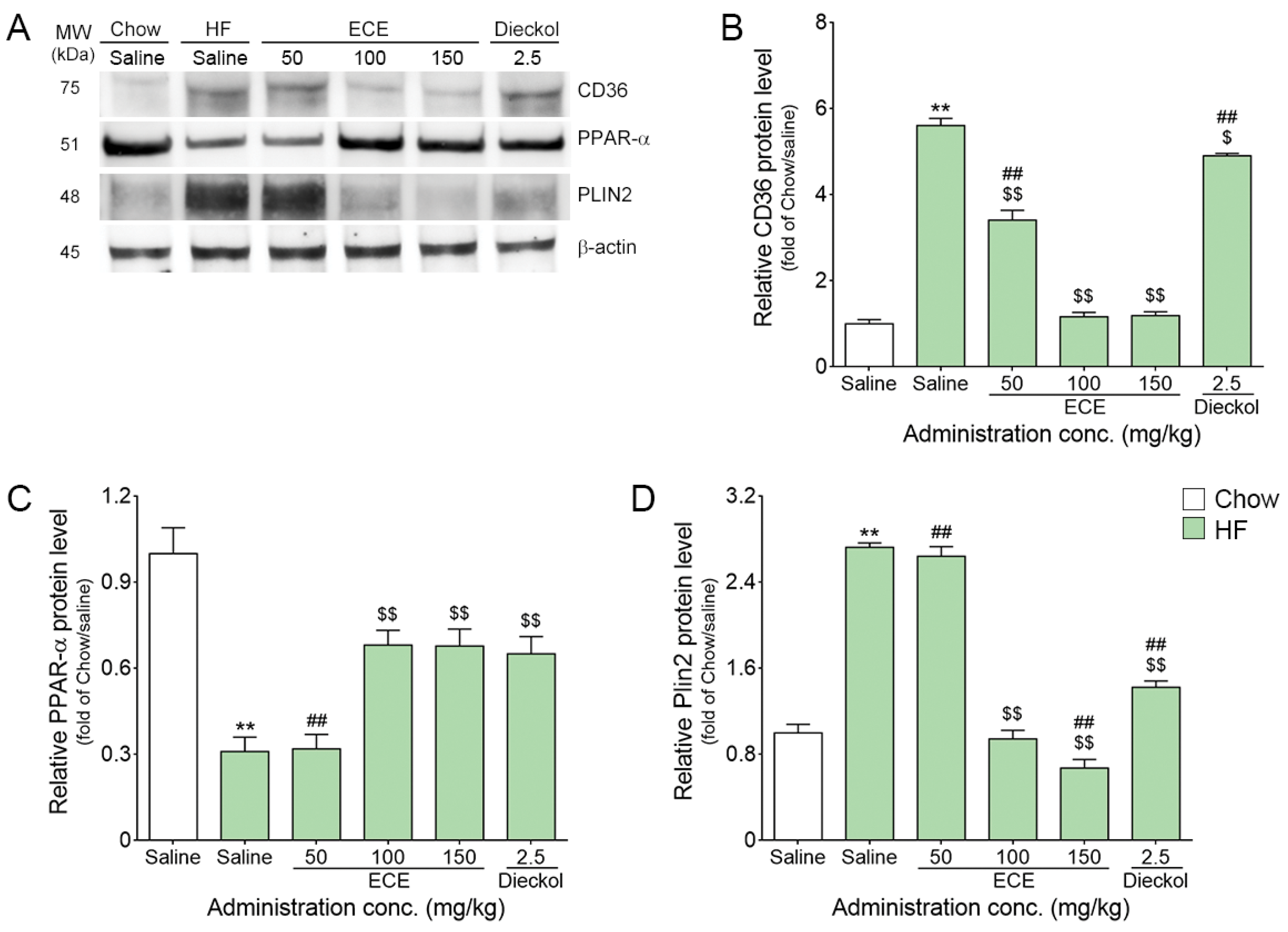 Nutrients 13 03160 g001