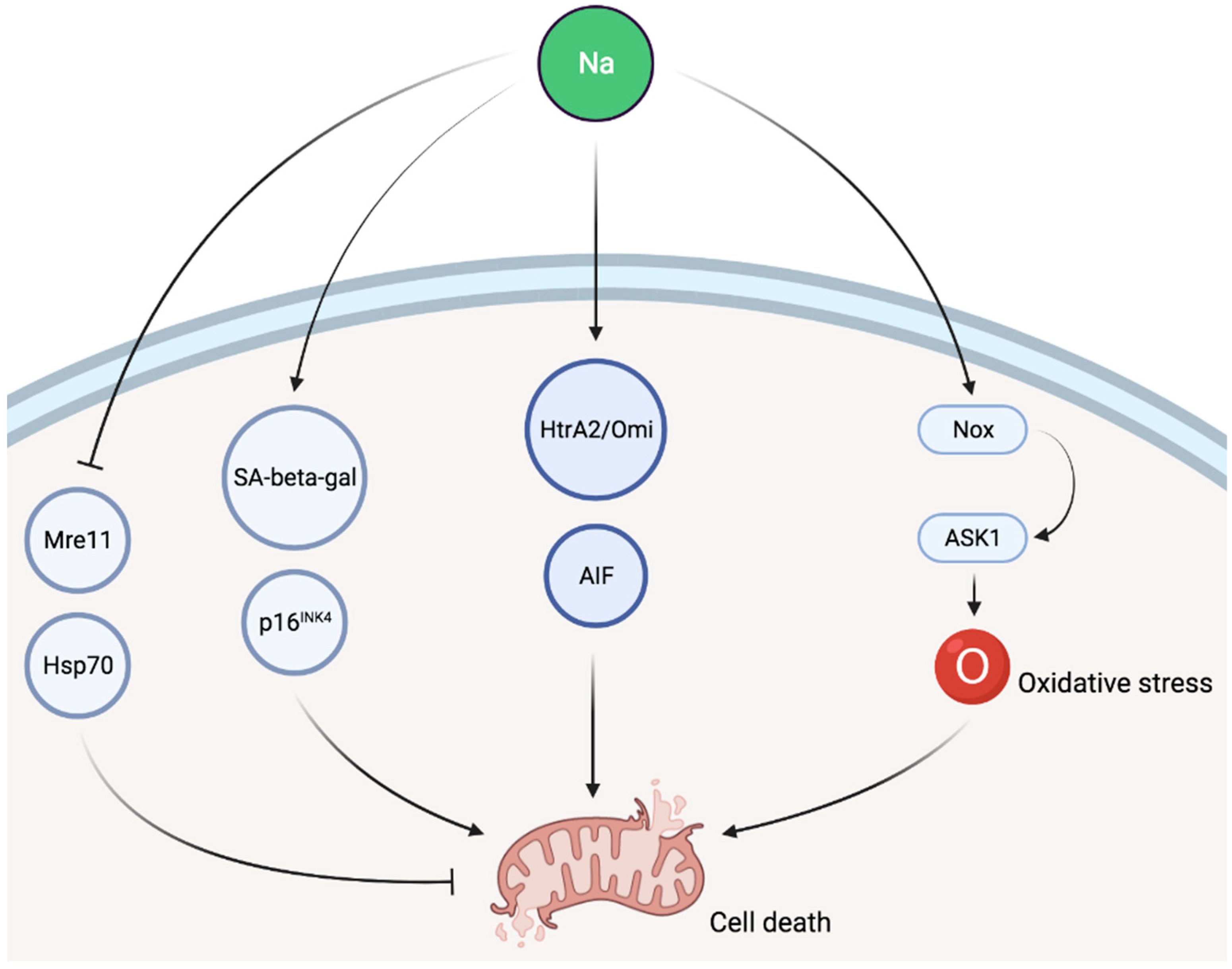 Nutrients 13 03177 g002