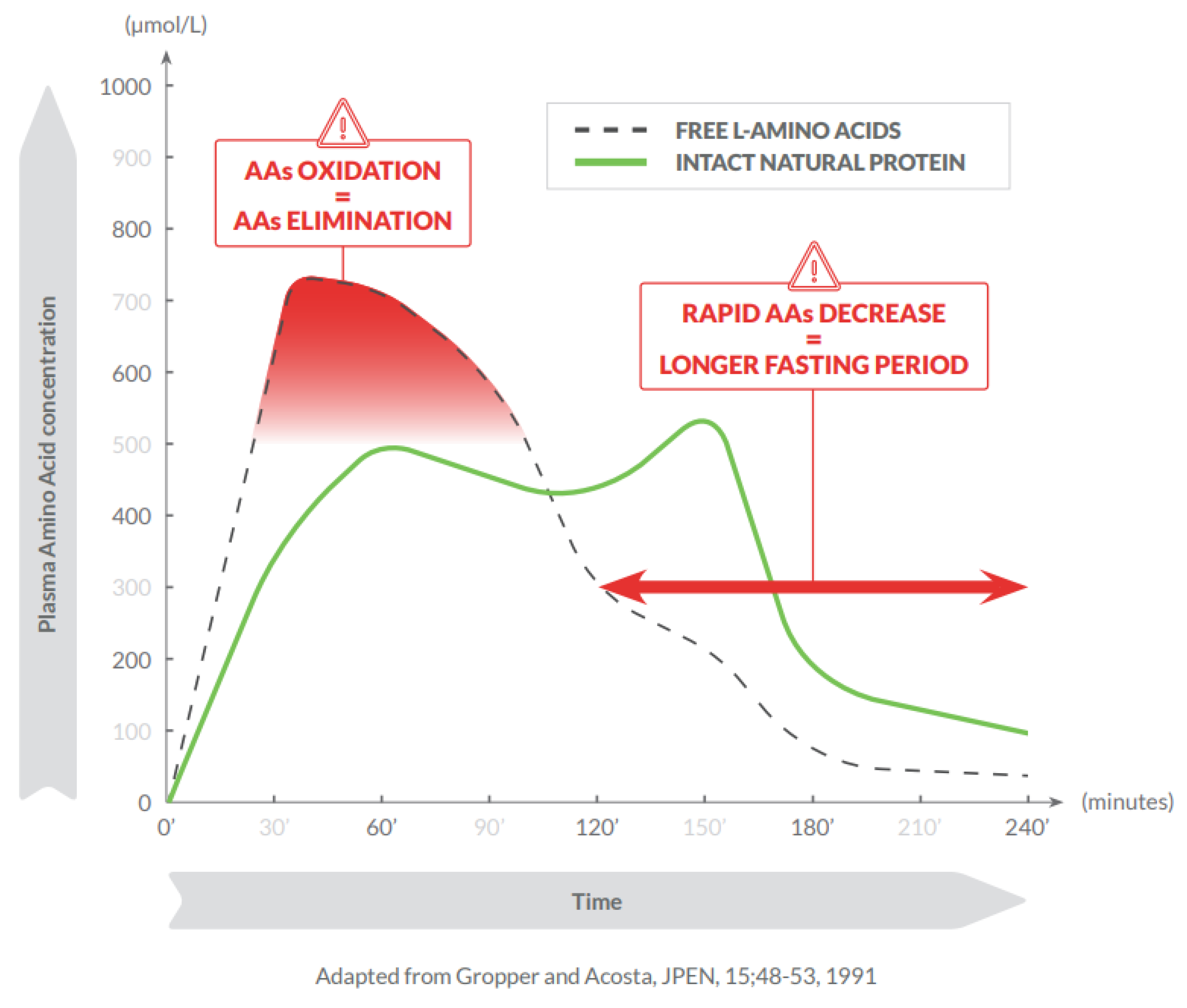 Nutrients 13 03189 g001