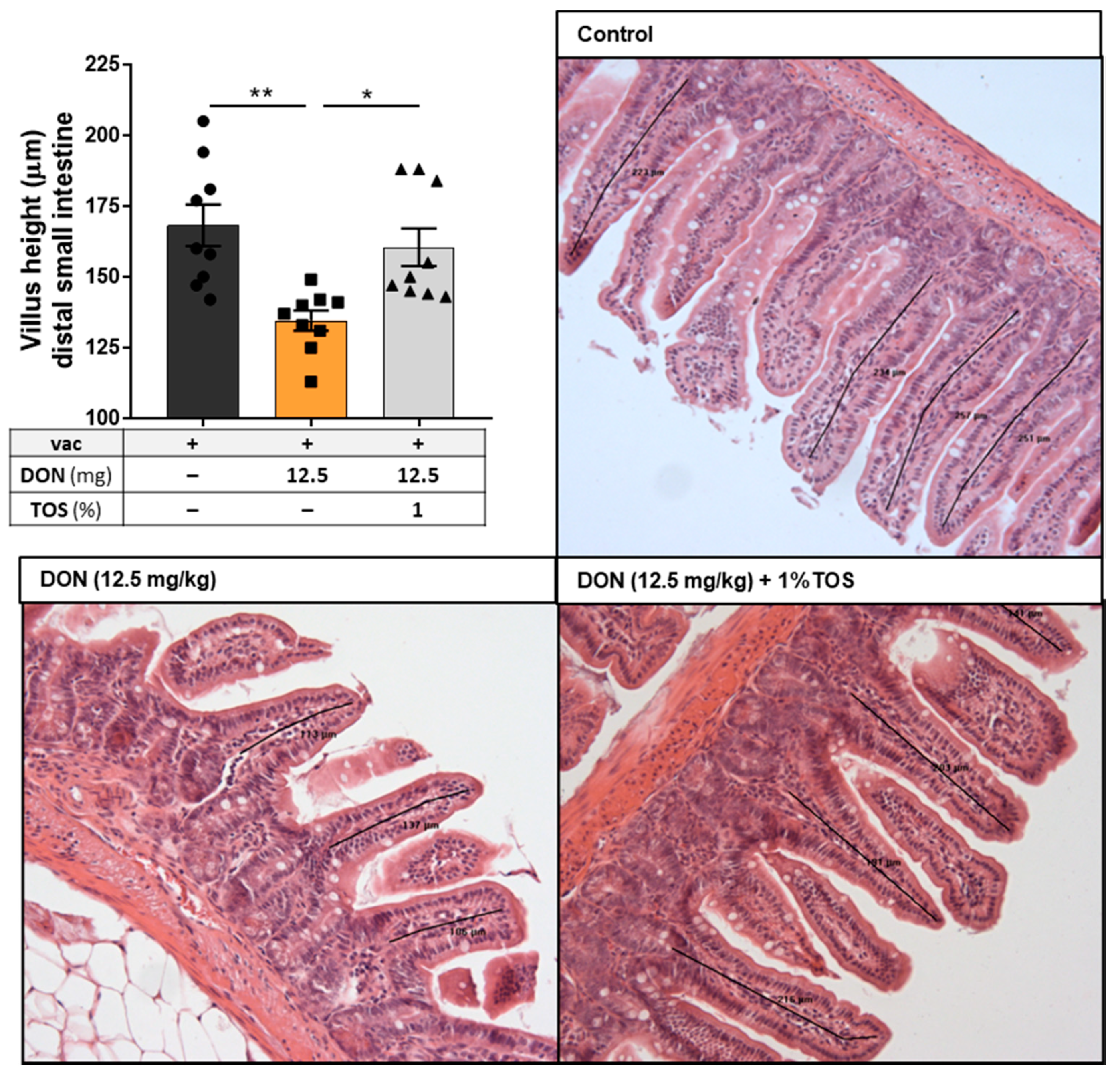 Nutrients 13 03190 g008