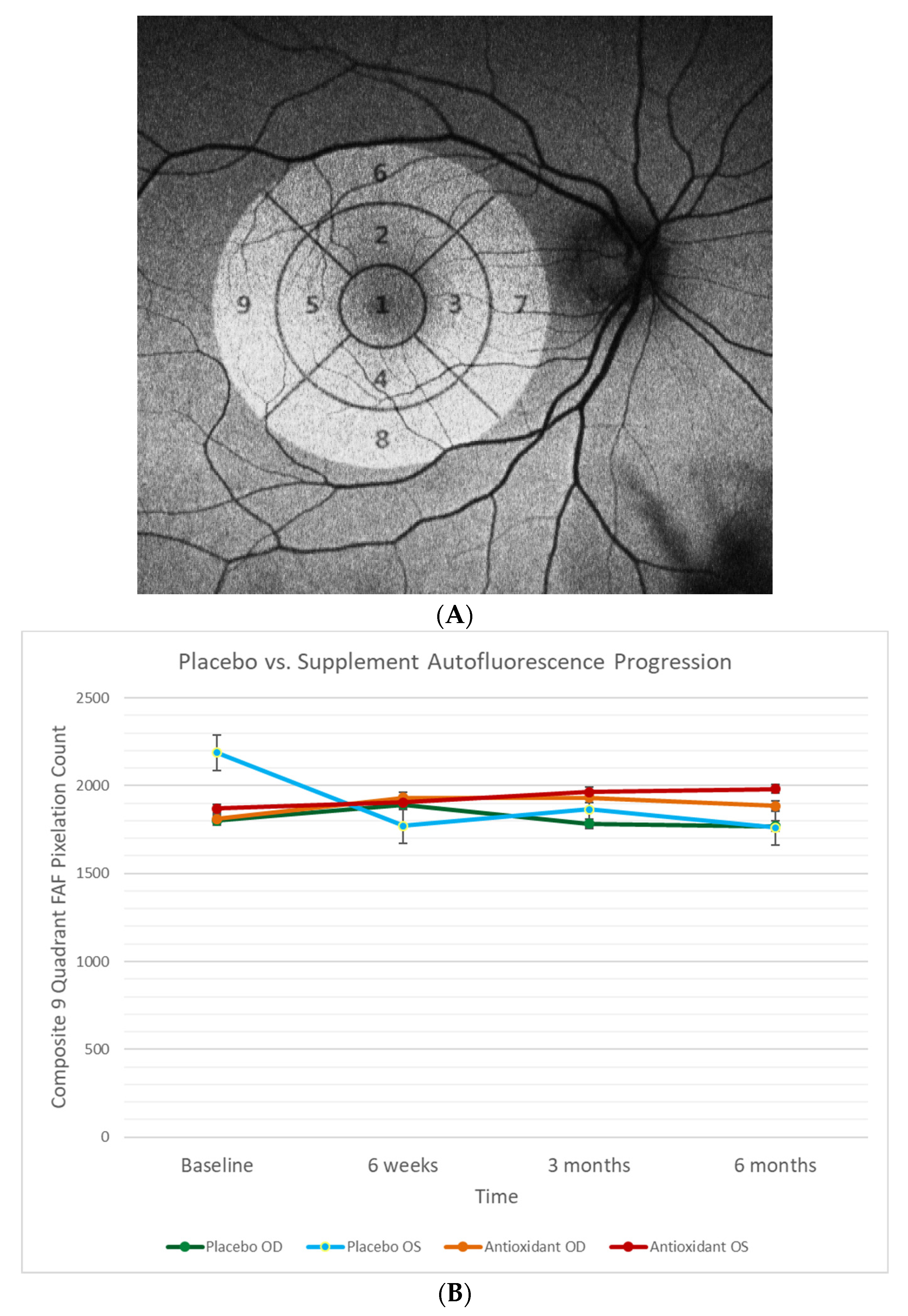 Nutrients 13 03191 g005 Nutrients 13 03191 g005