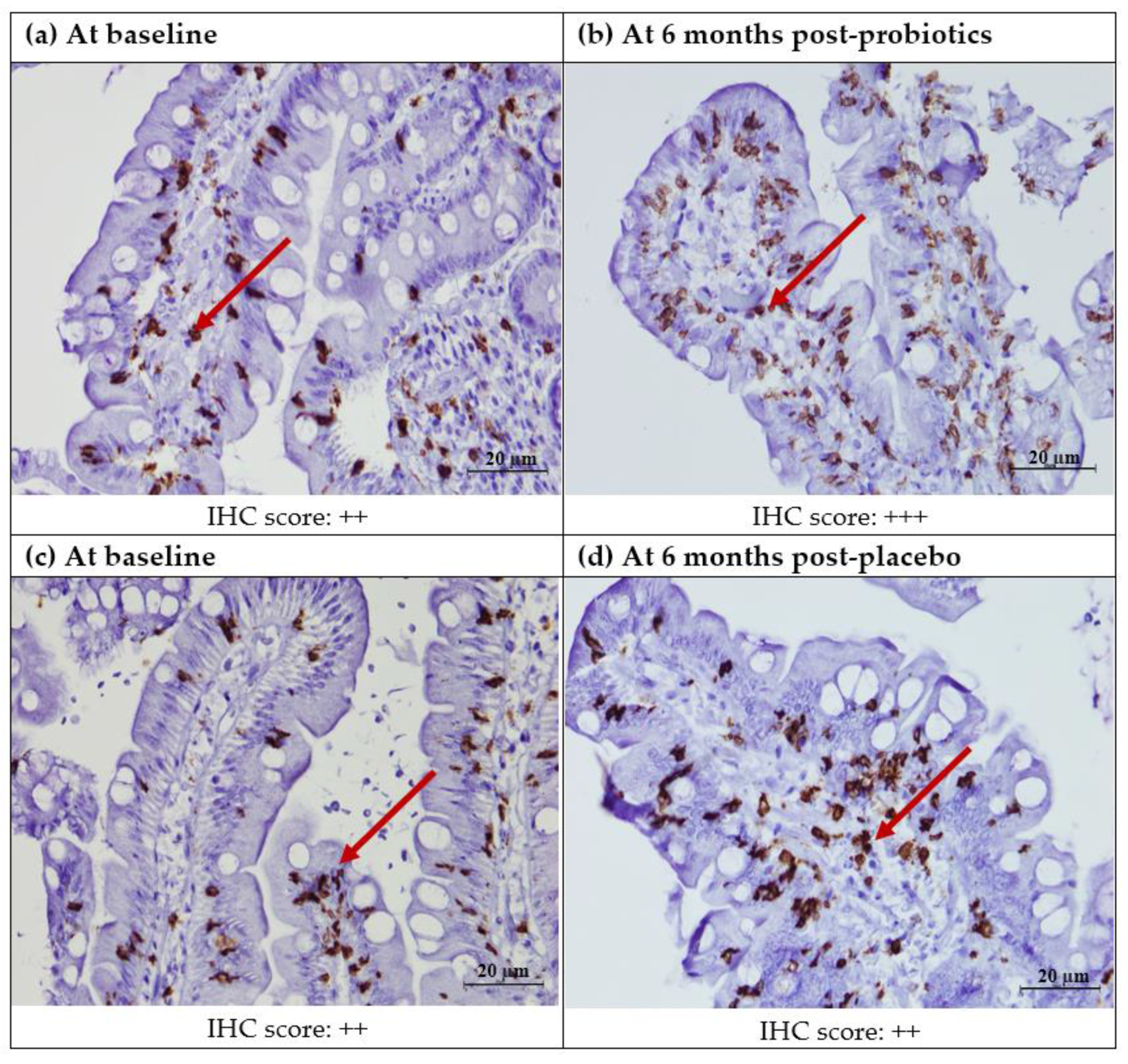 Nutrients 13 03192 g004 Nutrients 13 03192 g004