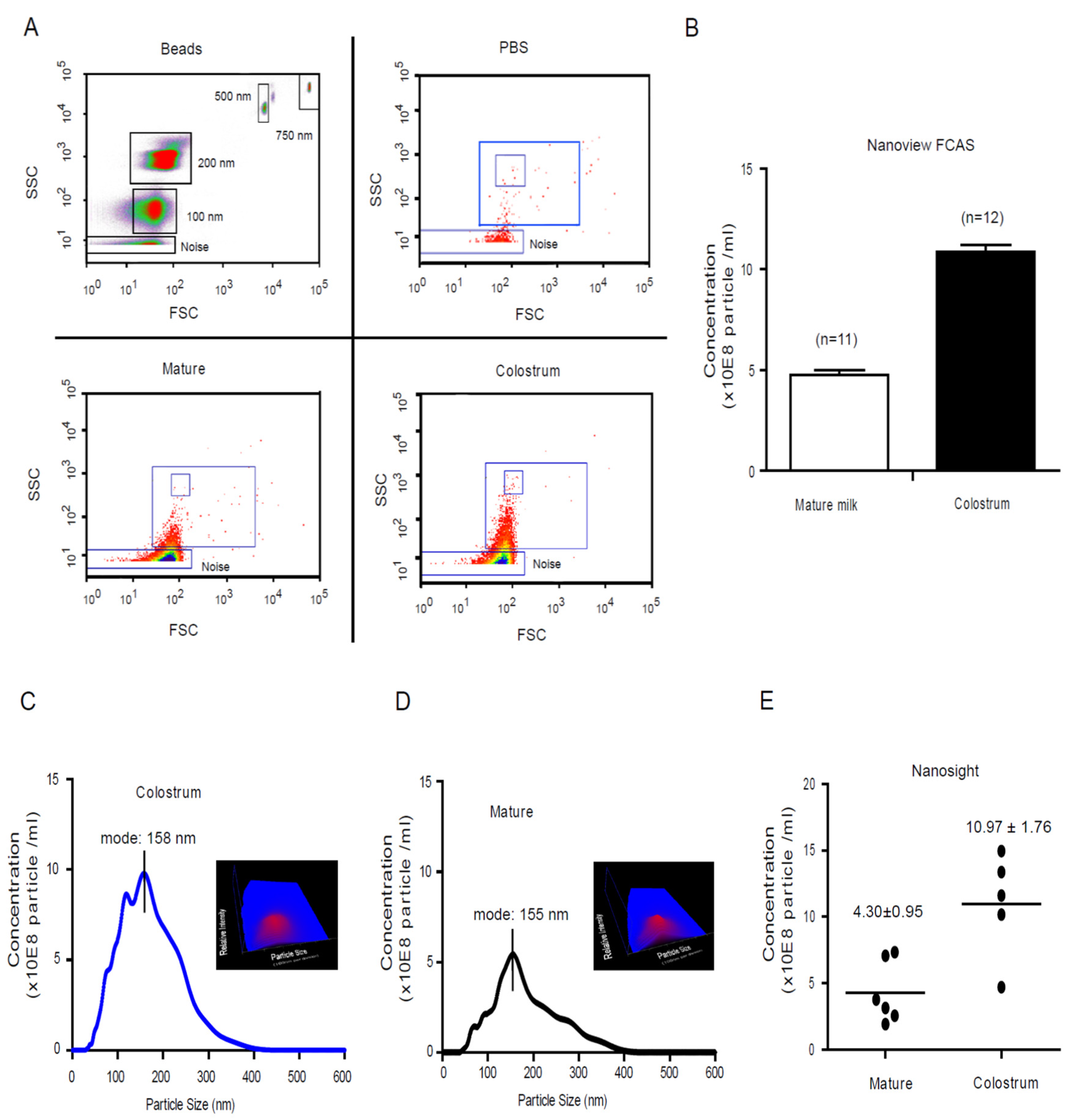 Nutrients 13 03198 g001 Nutrients 13 03198 g001