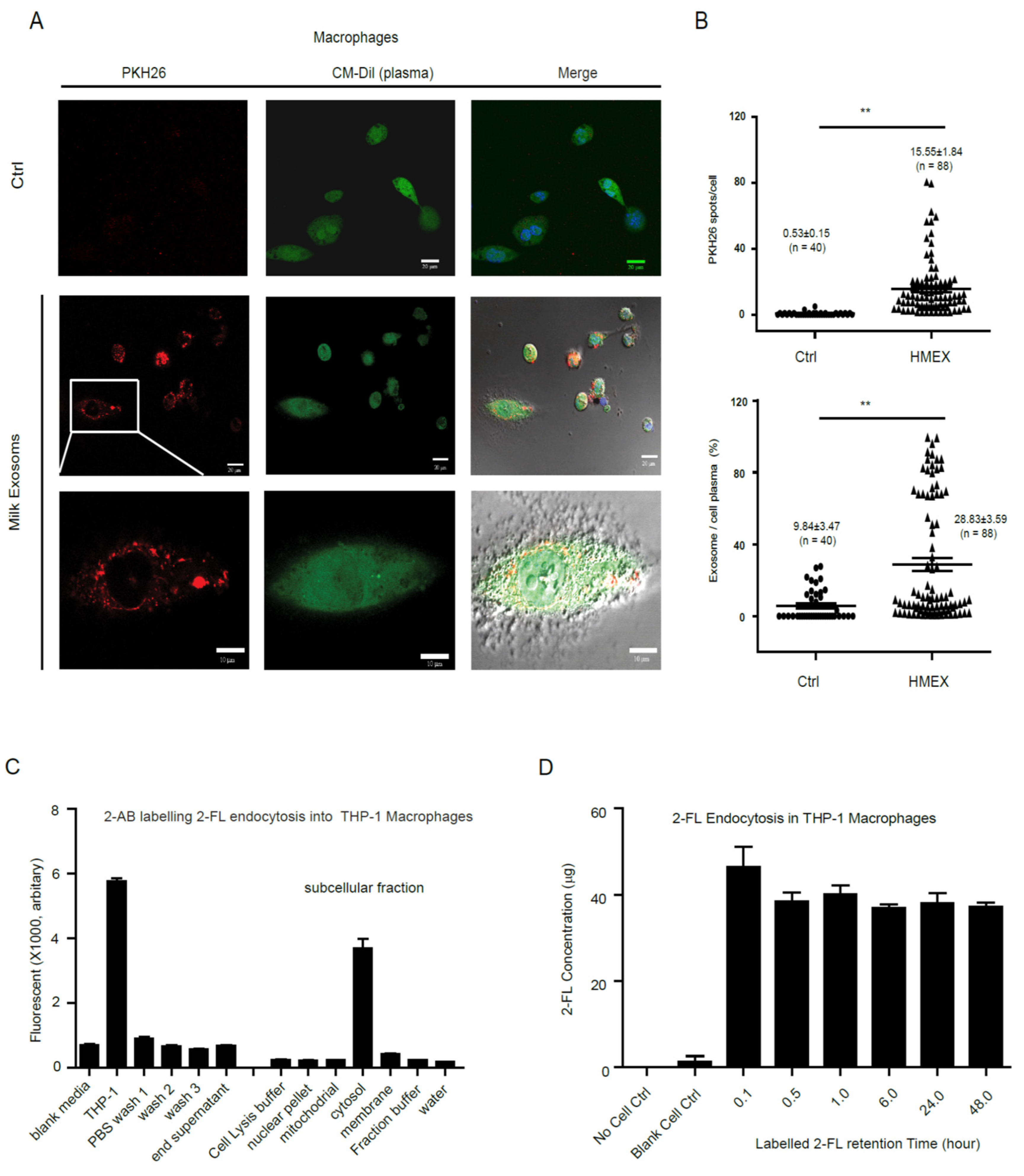 Nutrients 13 03198 g003 Nutrients 13 03198 g003