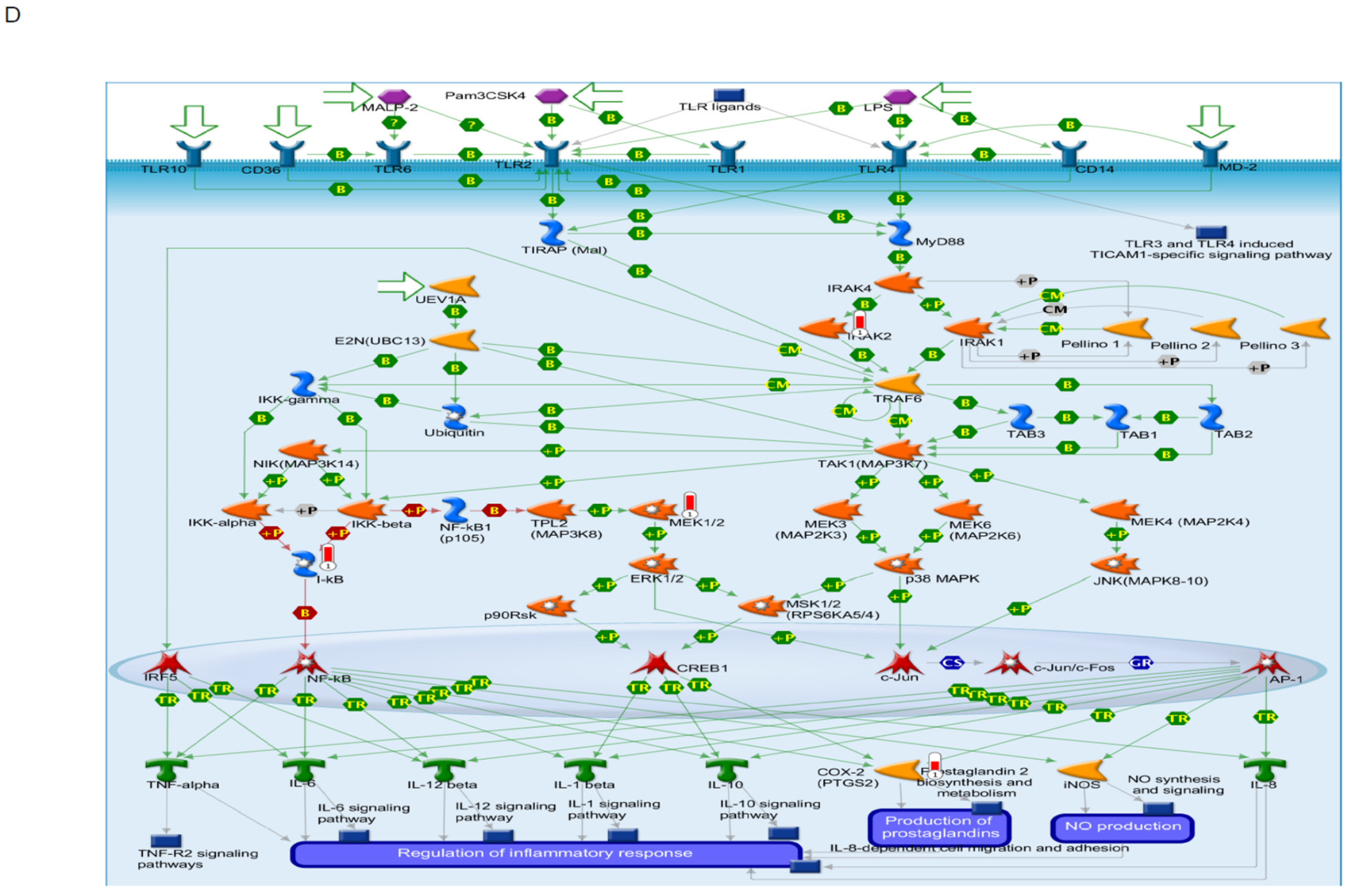 Nutrients 13 03198 g004b Nutrients 13 03198 g004b