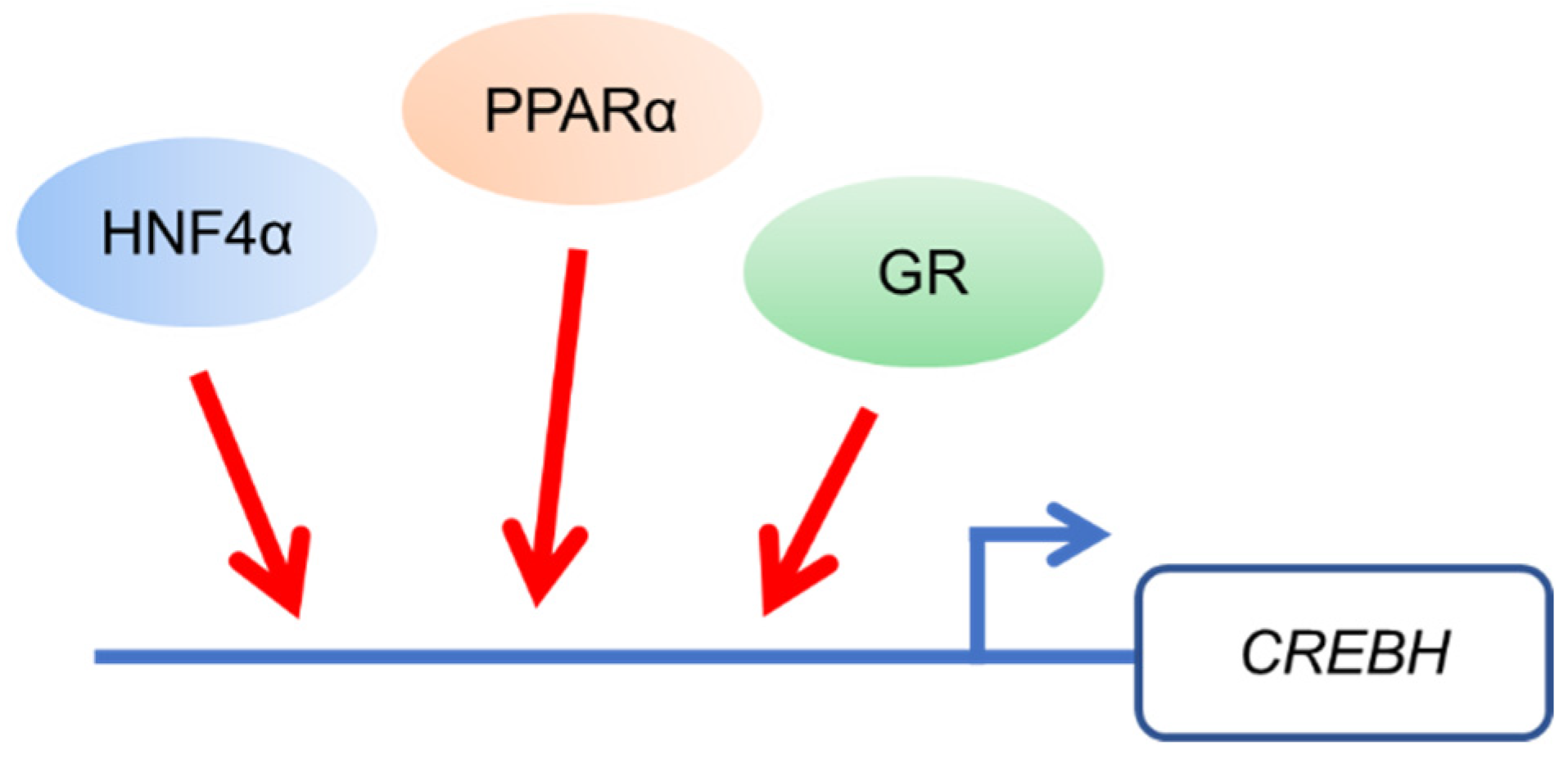 Nutrients 13 03204 g001 Nutrients 13 03204 g001