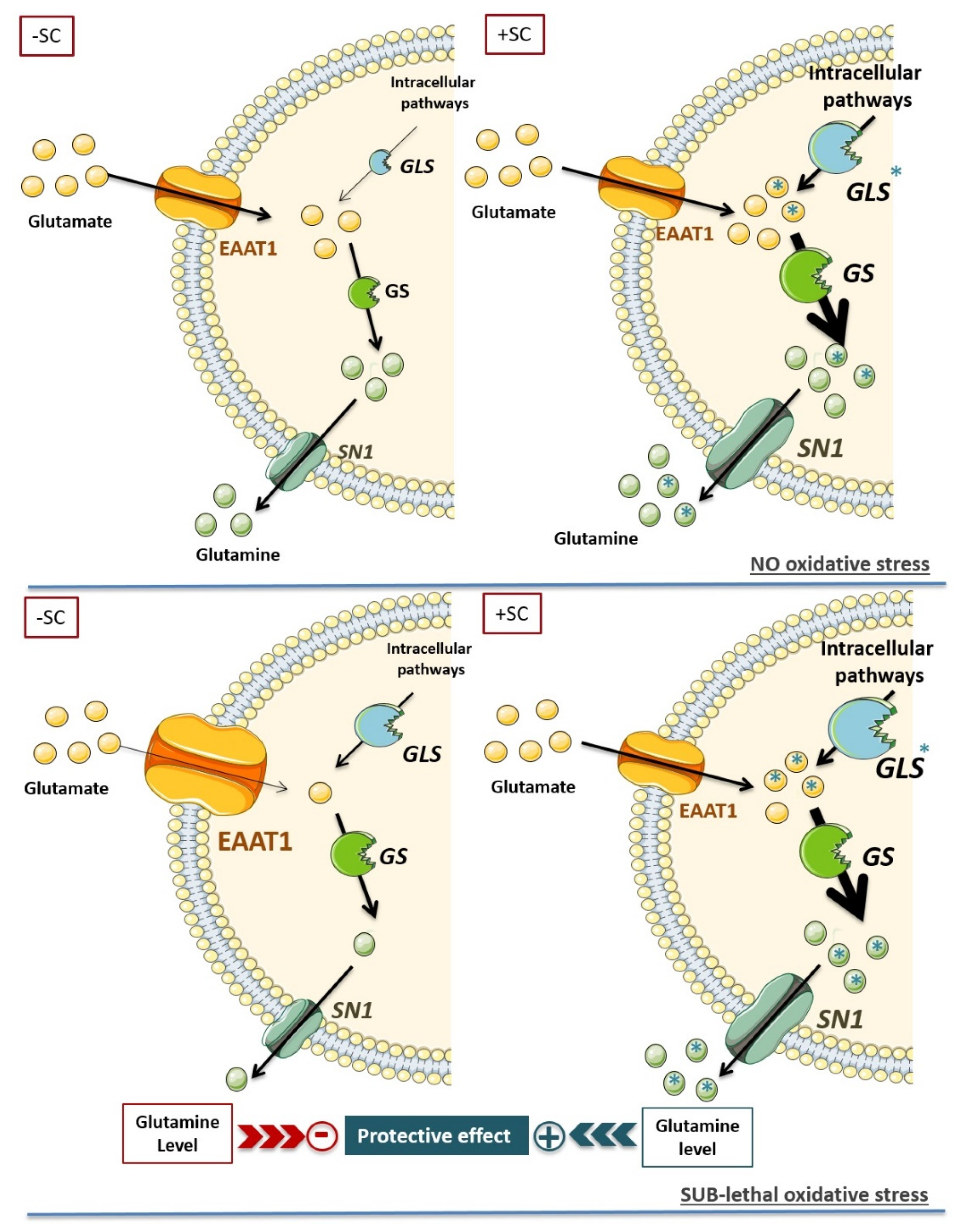 Nutrients 13 03216 g006