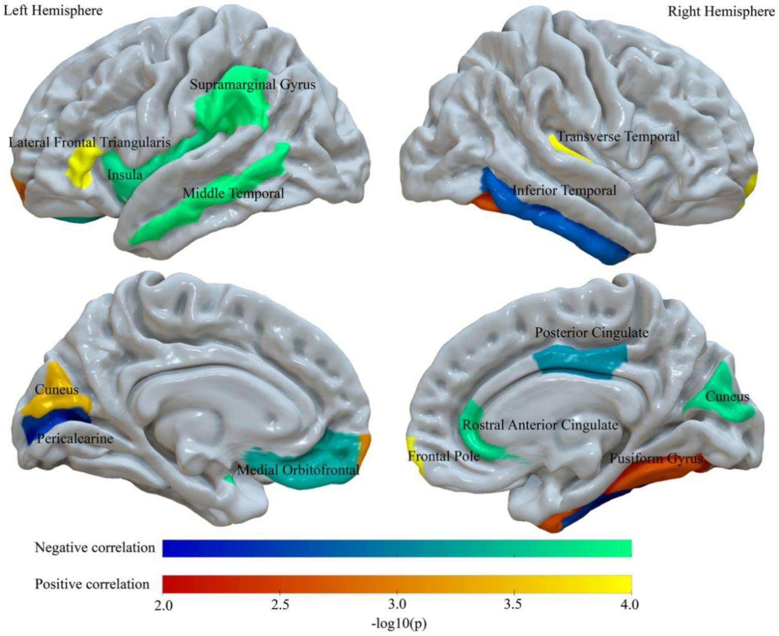 Nutrients 13 03221 g002