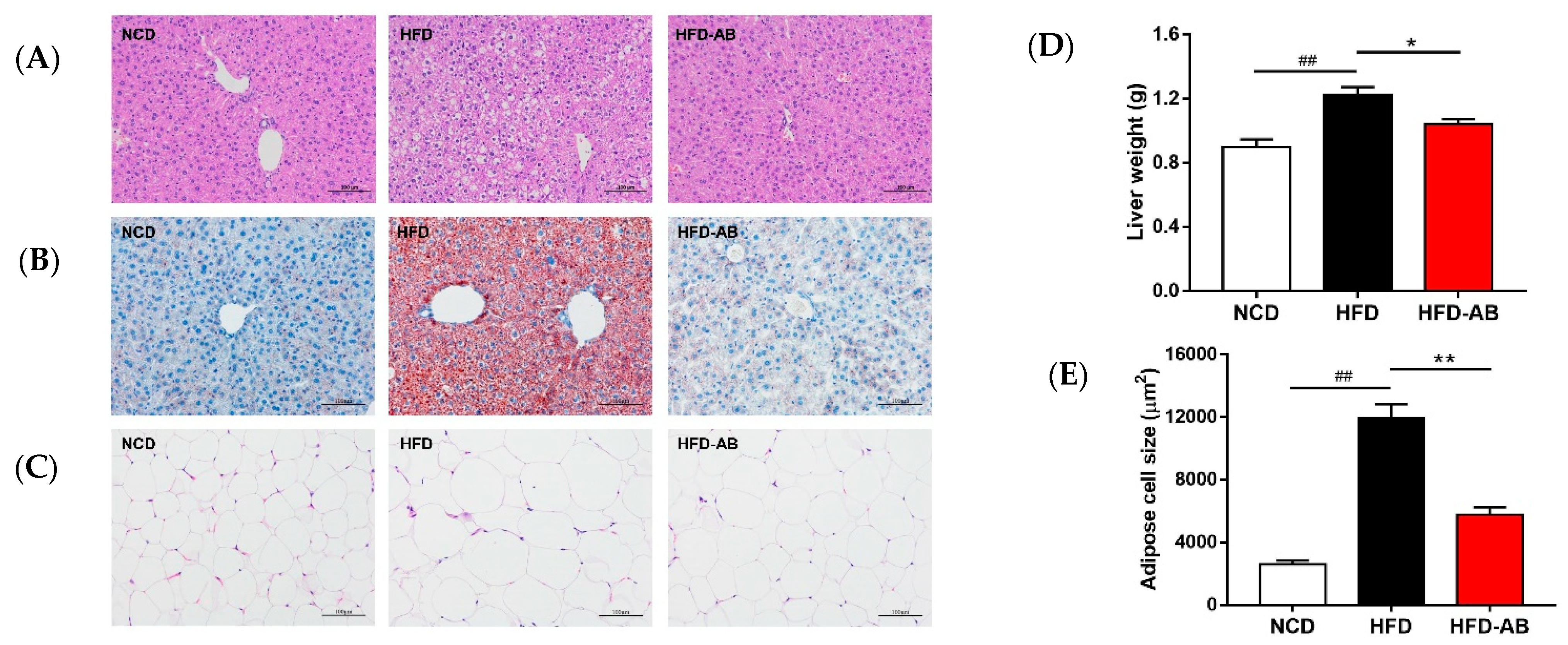 Nutrients 13 03240 g003