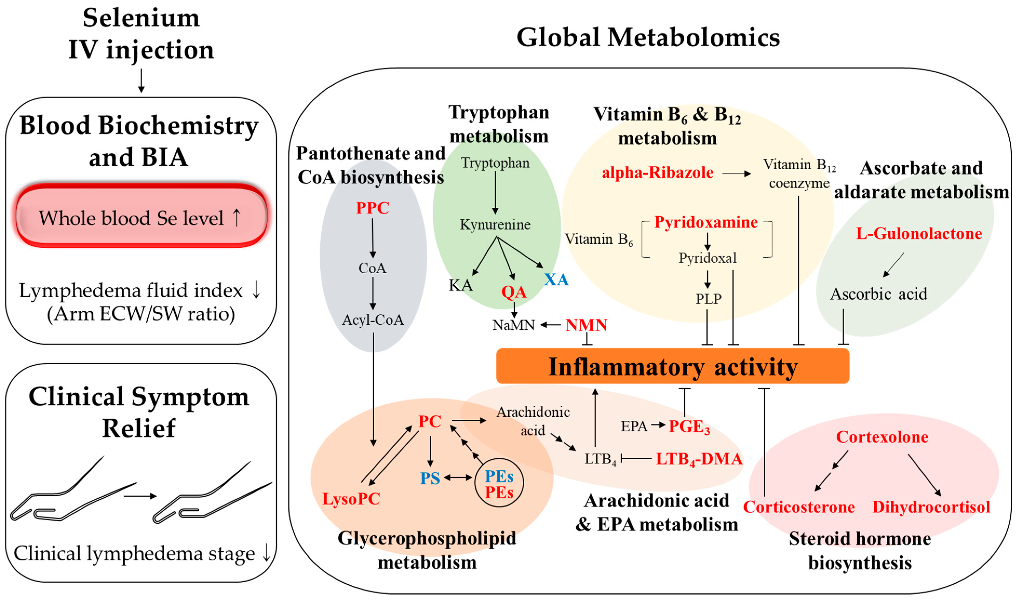 Nutrients 13 03253 g007