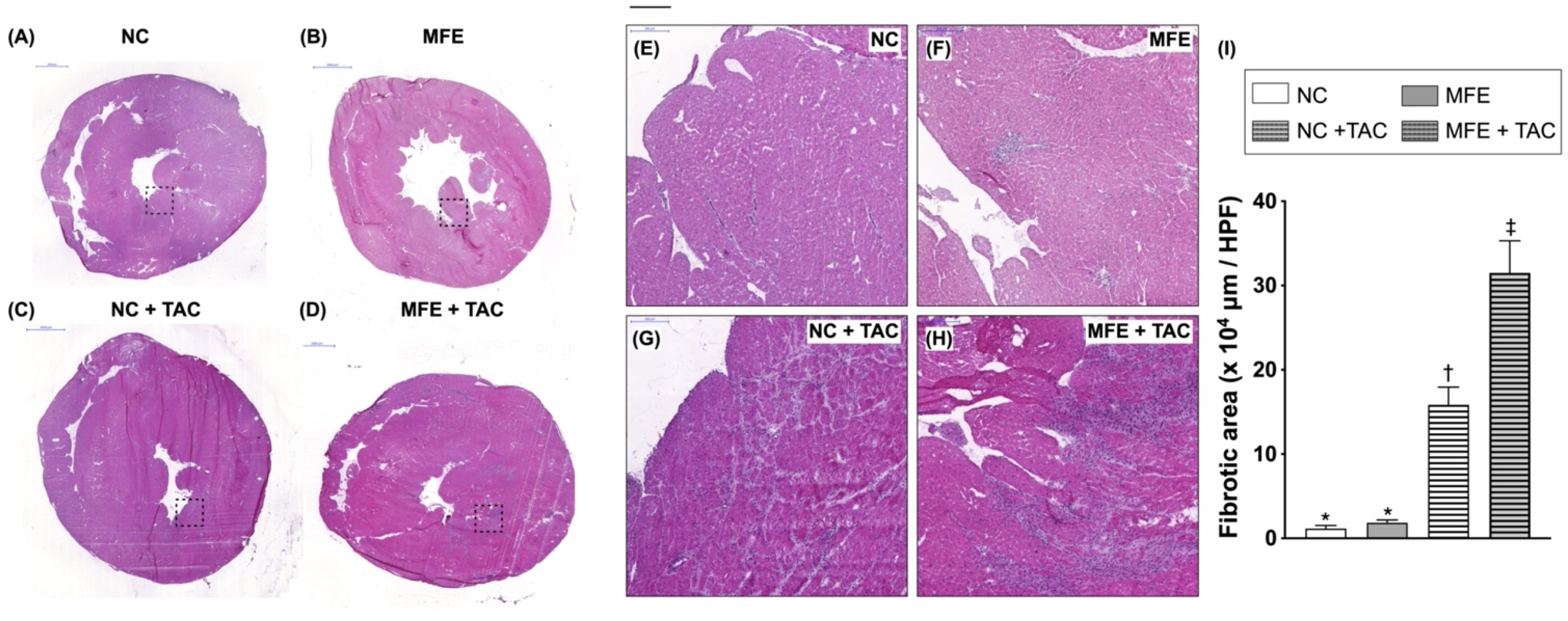 Nutrients 13 03267 g001 Nutrients 13 03267 g001