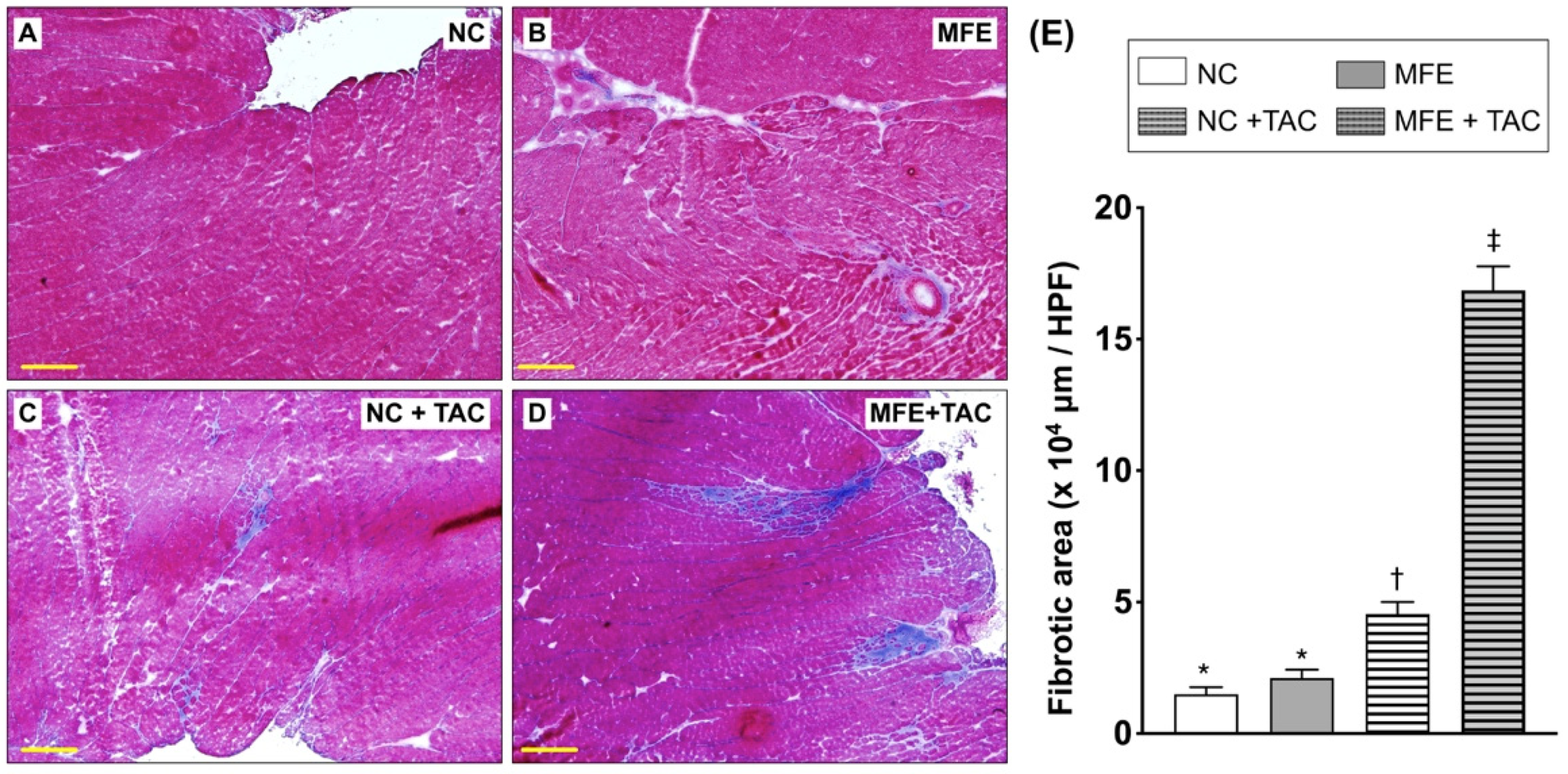 Nutrients 13 03267 g002 Nutrients 13 03267 g002