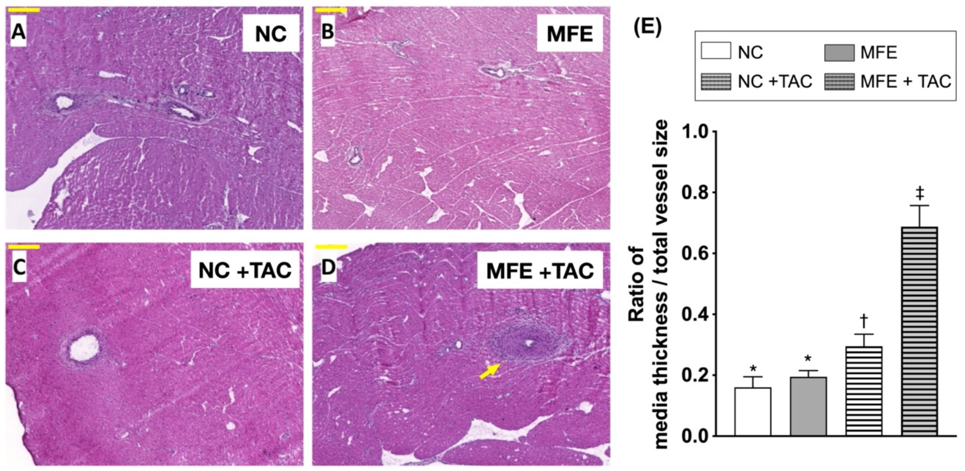 Nutrients 13 03267 g003 Nutrients 13 03267 g003