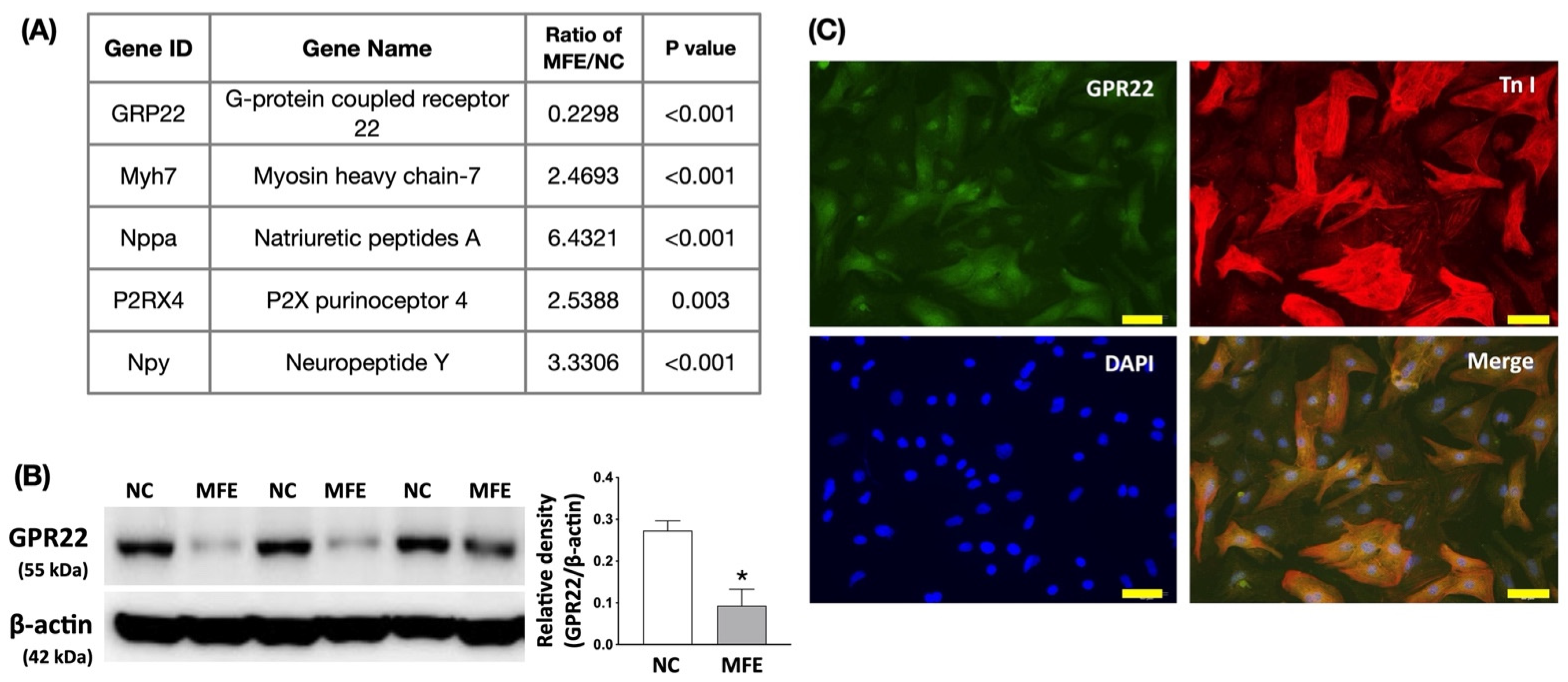 Nutrients 13 03267 g005 Nutrients 13 03267 g005